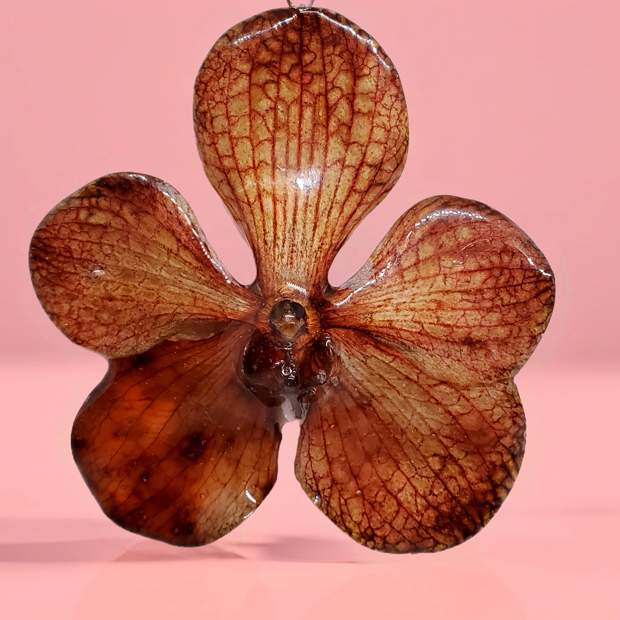 Bazaart_20260519_114218_698.png (Copy)
