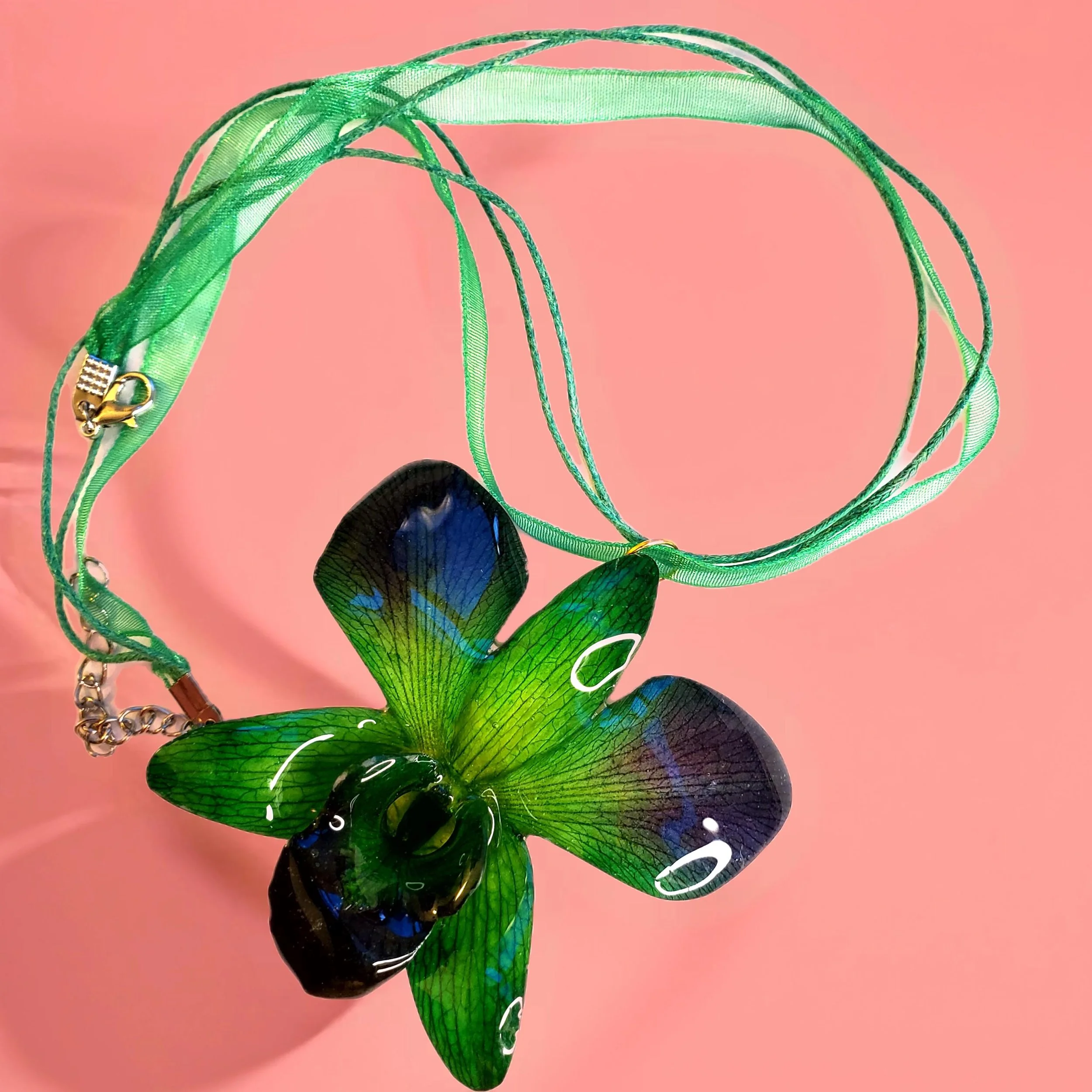 Green Orchid with ribbon.jpg