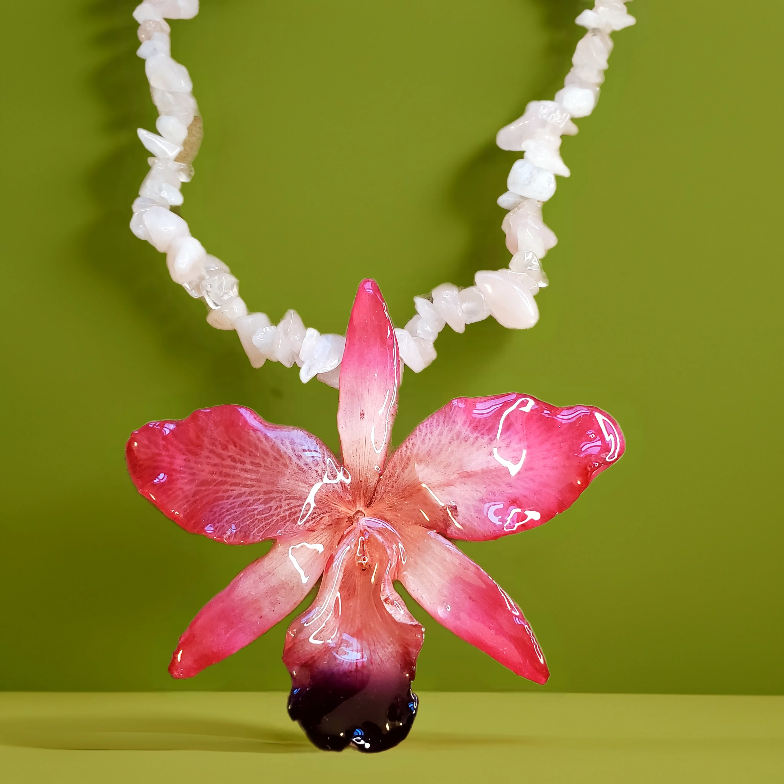 Bazaart_20260514_065413_929.png (Copy)
