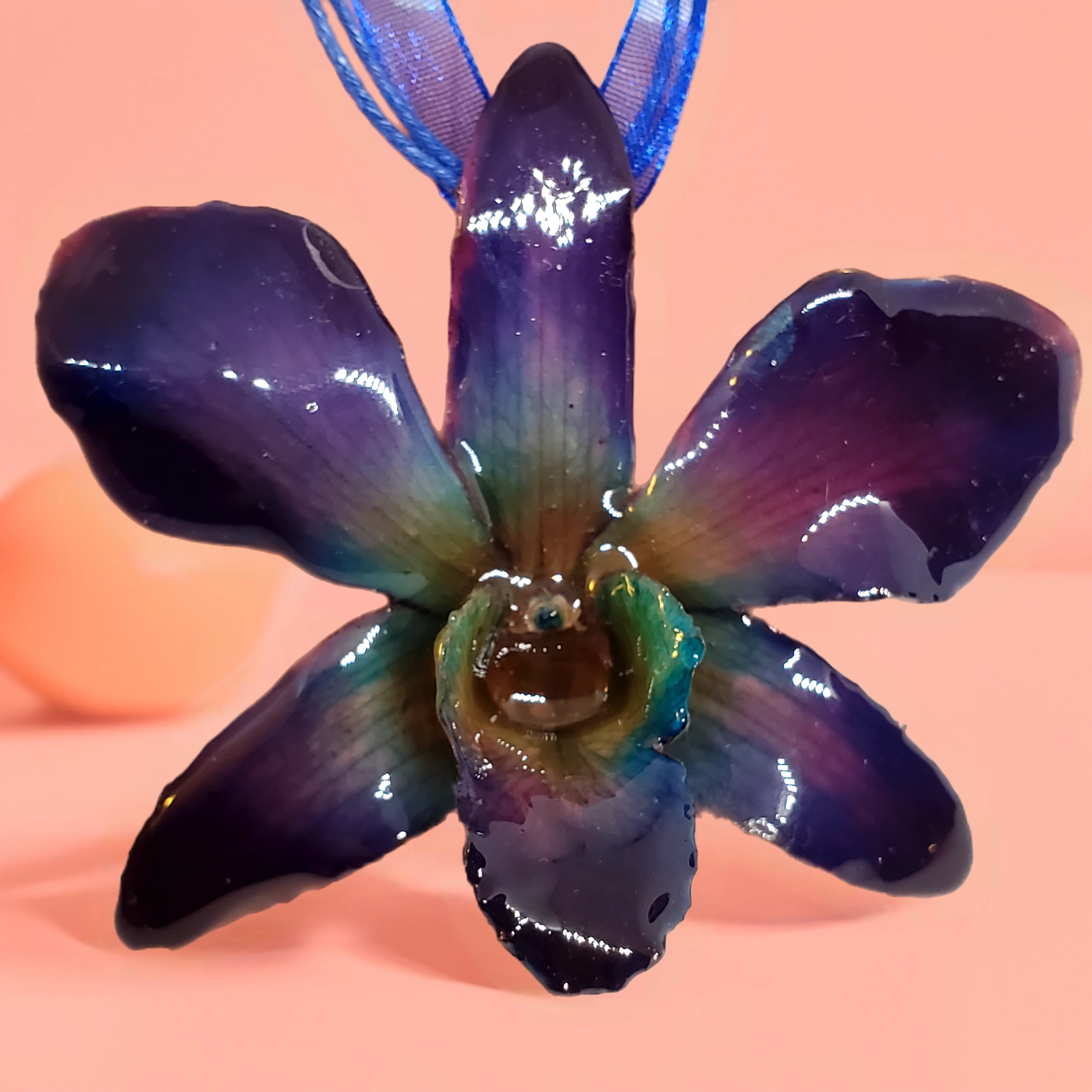 Bazaart_20260519_103303_711.png (Copy)