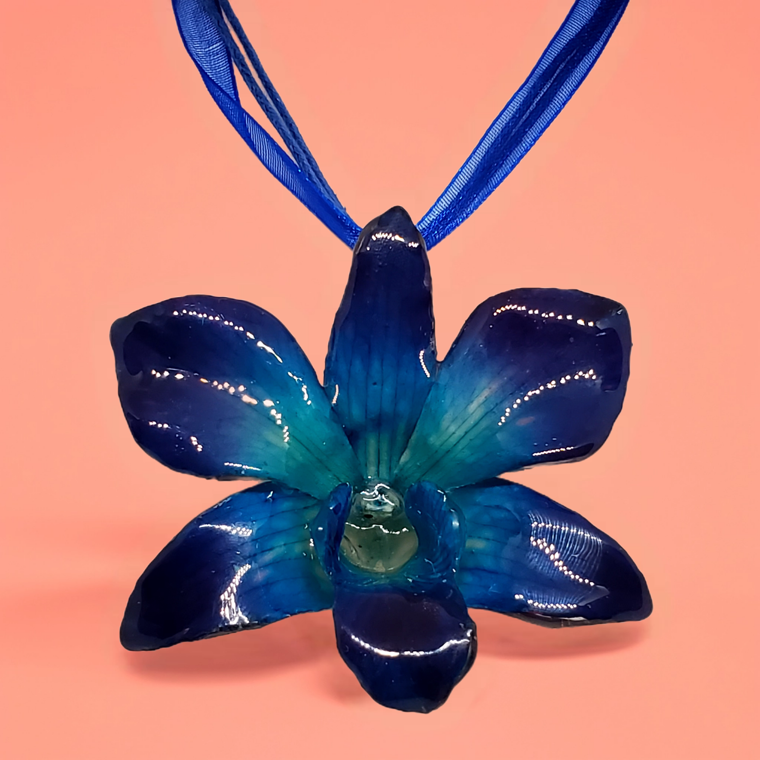 Bazaart_20260519_104519_946.png (Copy)