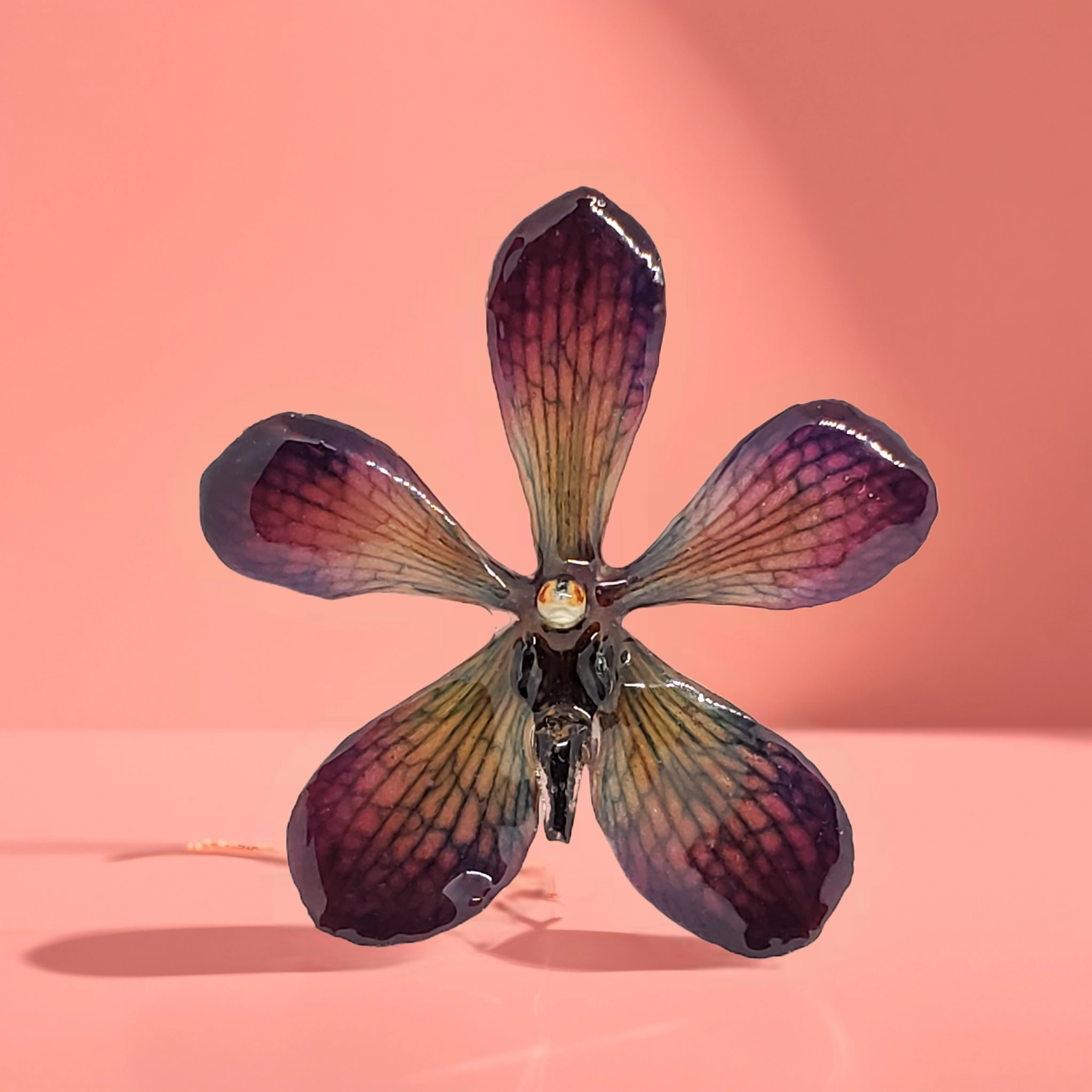 Bazaart_20260520_094206_960.png (Copy)