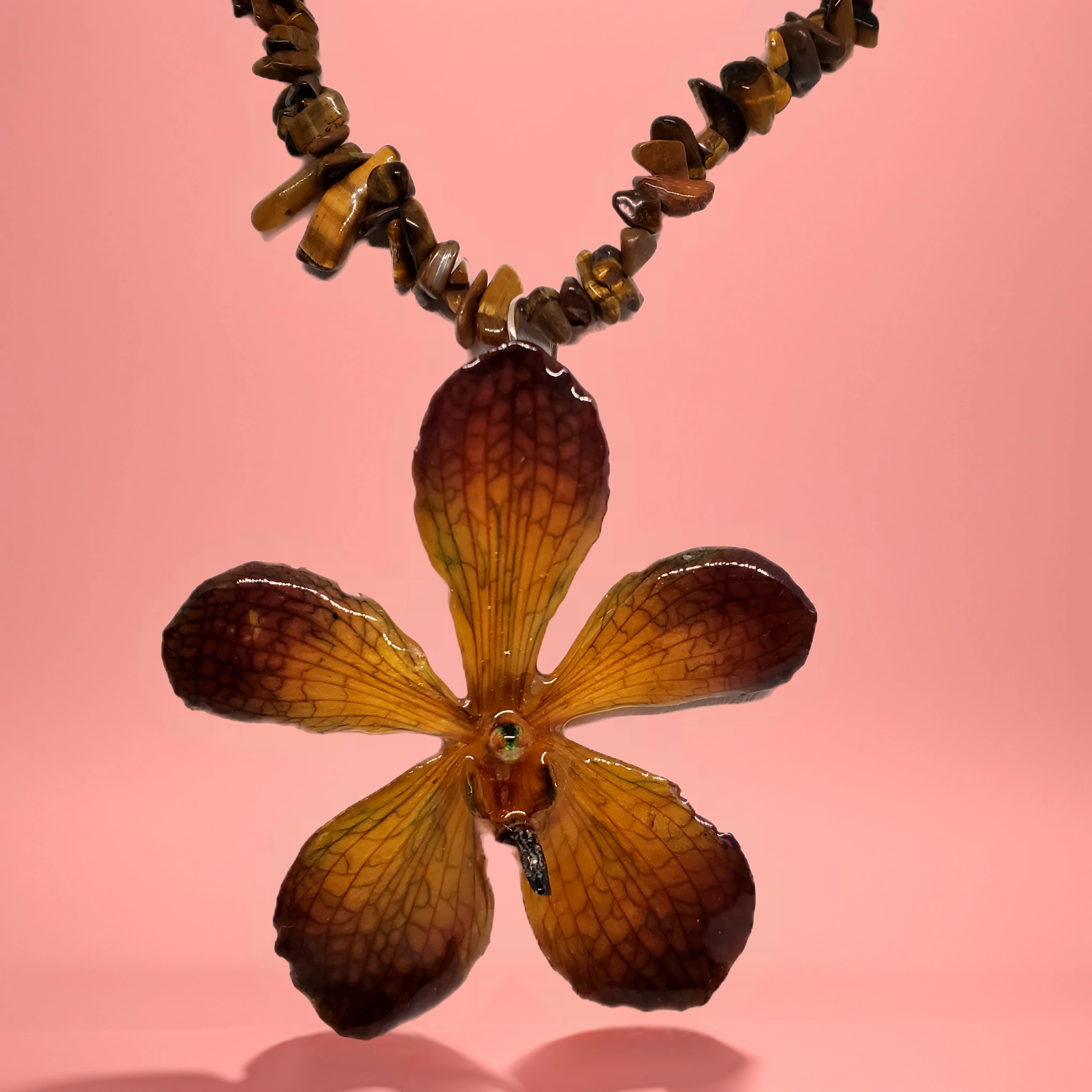 Bazaart_20260520_100654_715.png (Copy)