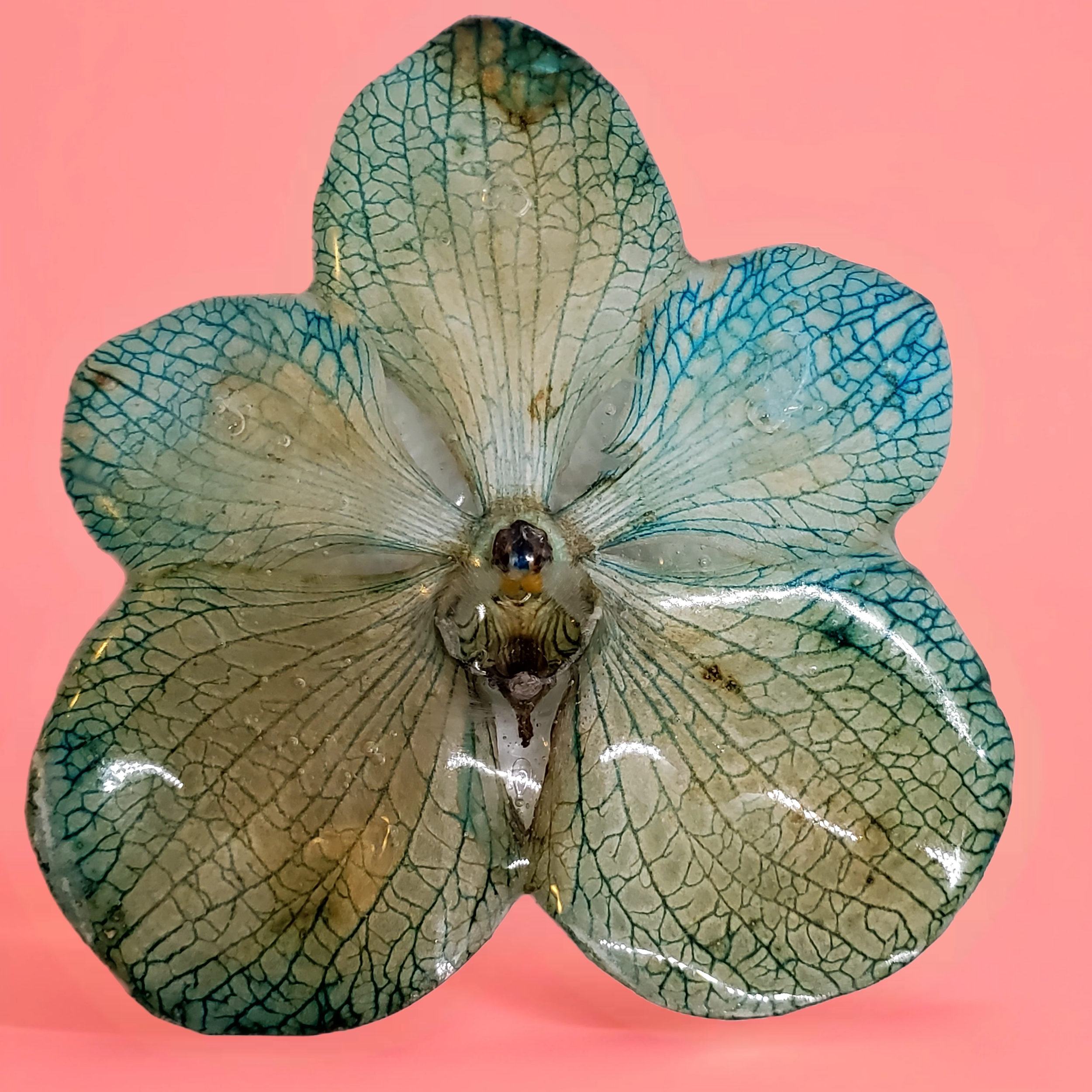 Bazaart_20260520_121832_429.png (Copy)