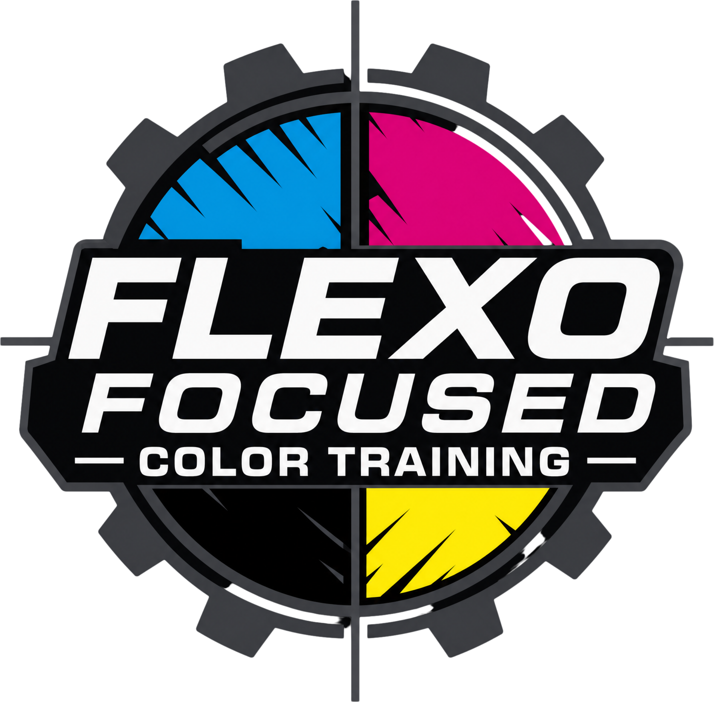 Logo with a gear shape divided into four quadrants; blue, pink, yellow, and black sections, with the words 'Flex' in bold white letters.
