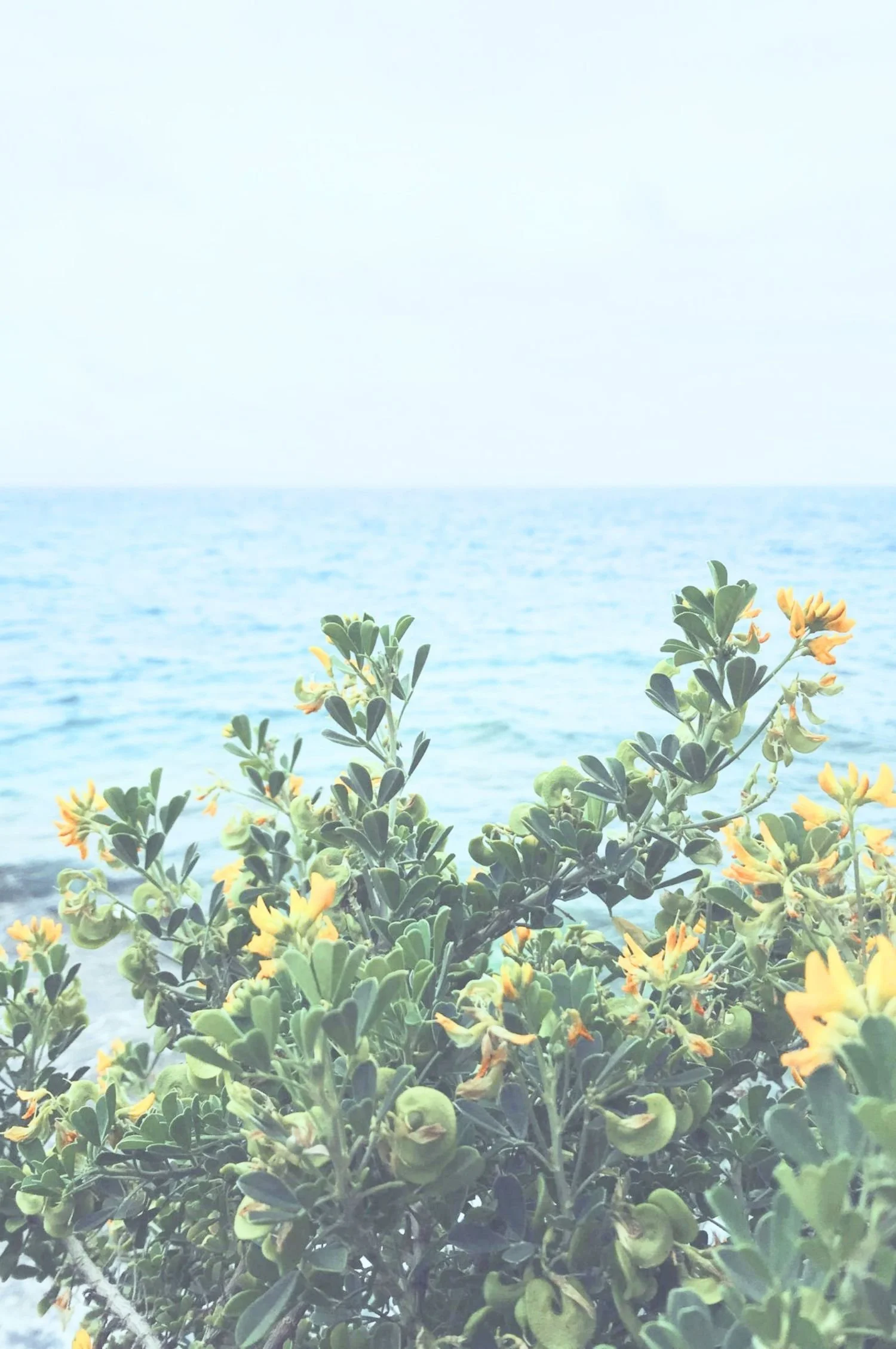 Therapy for Anxiety & Depression