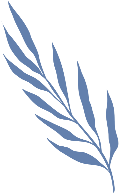 Botanical graphic