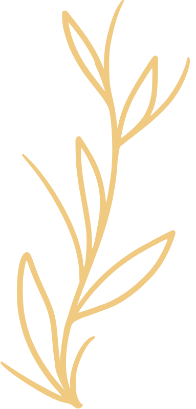 Licensed Marriage & Family Therapist