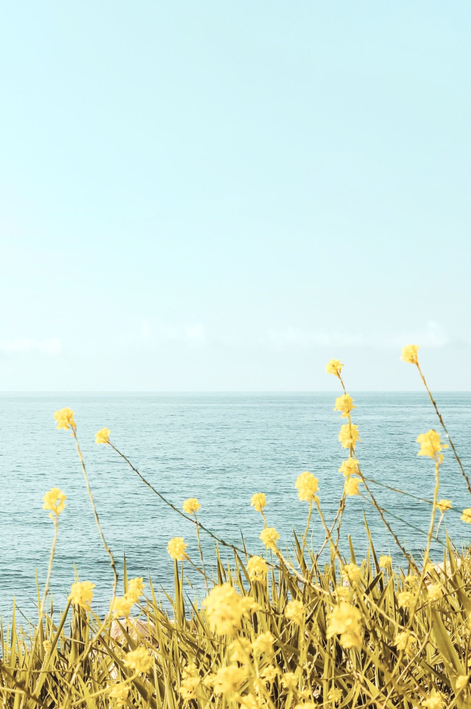 Eating Disorder Counseling
