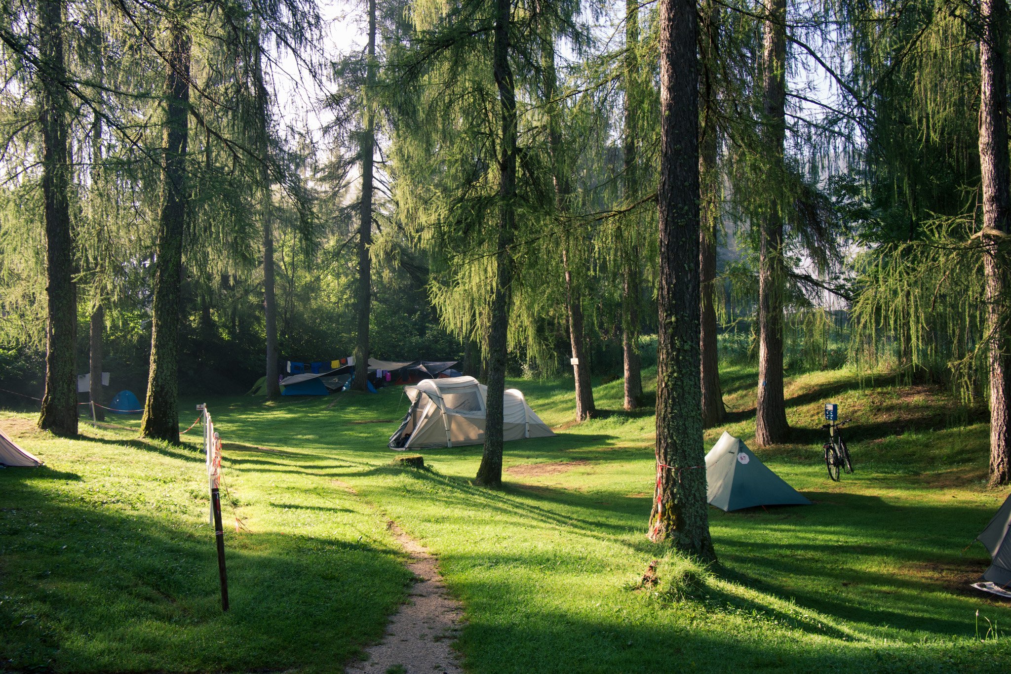 DSCF2501.jpg