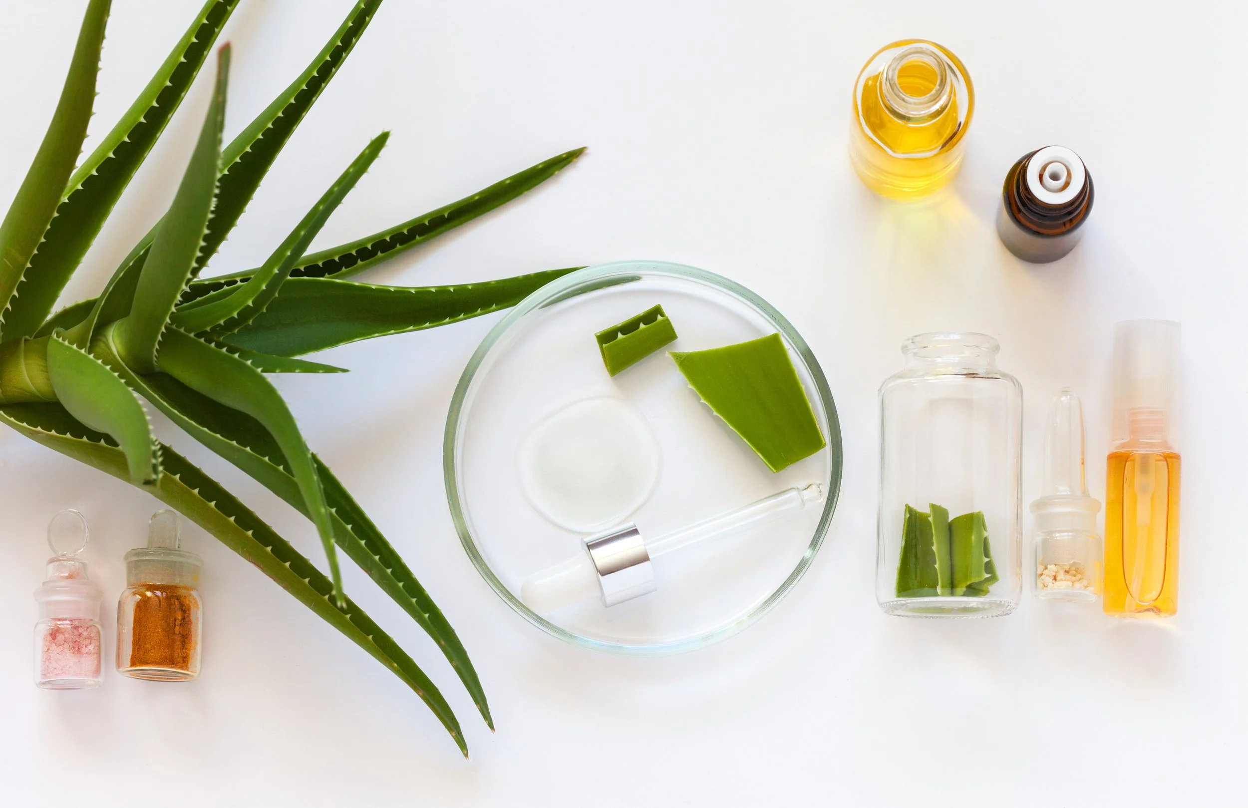 Aloe vera leaves and chemicals in vials for testing.