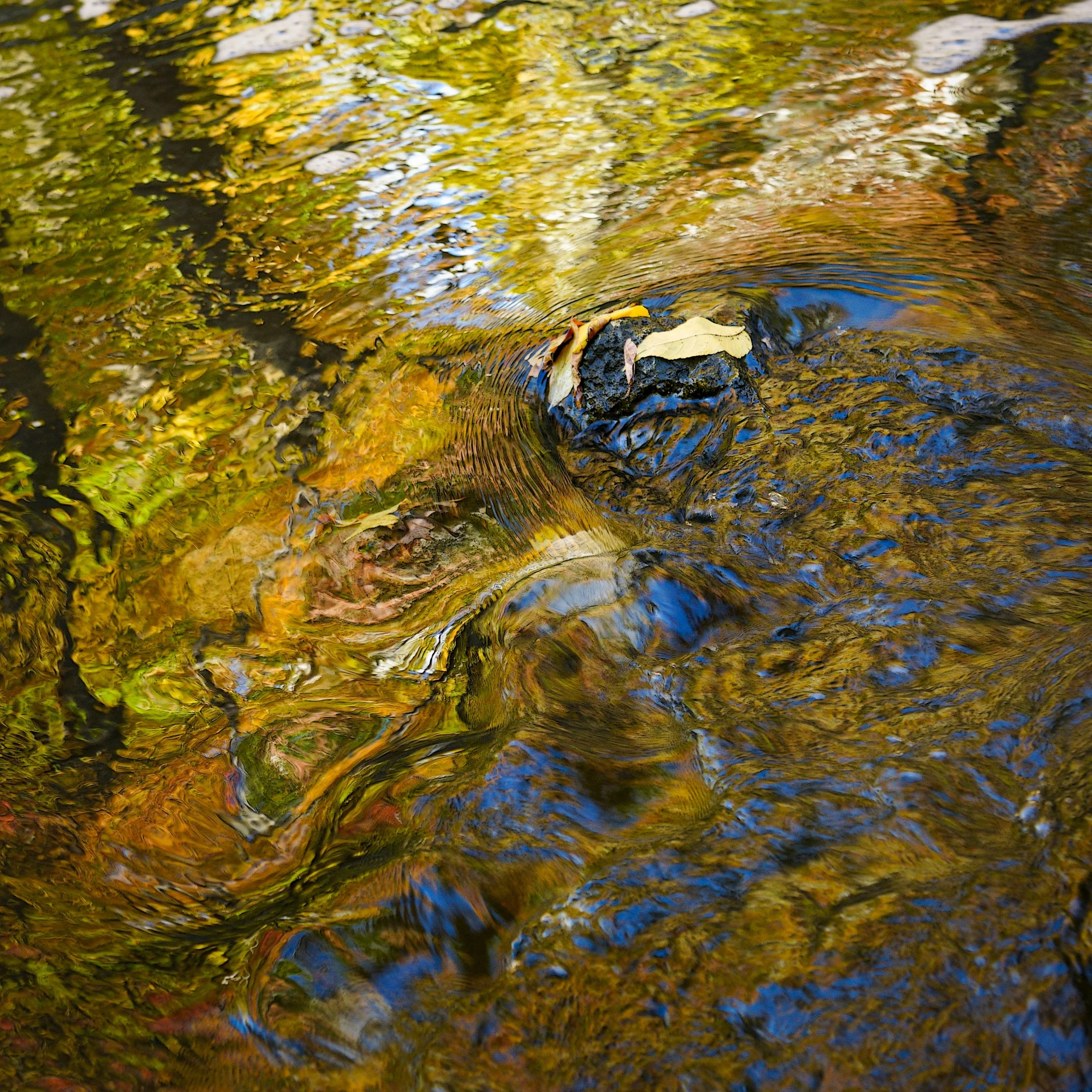 DSC9466.1.