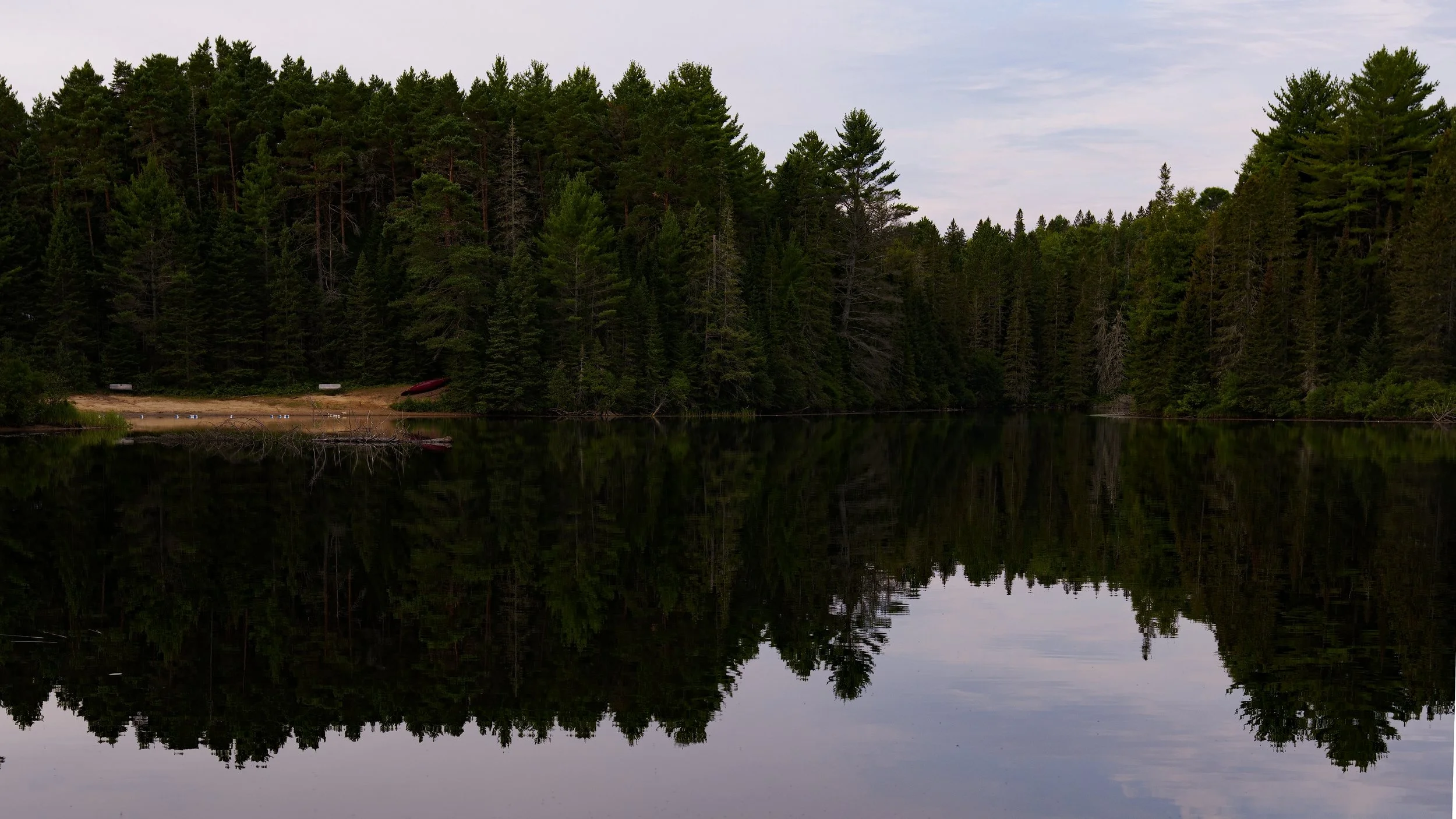 _DSC7976.jpg