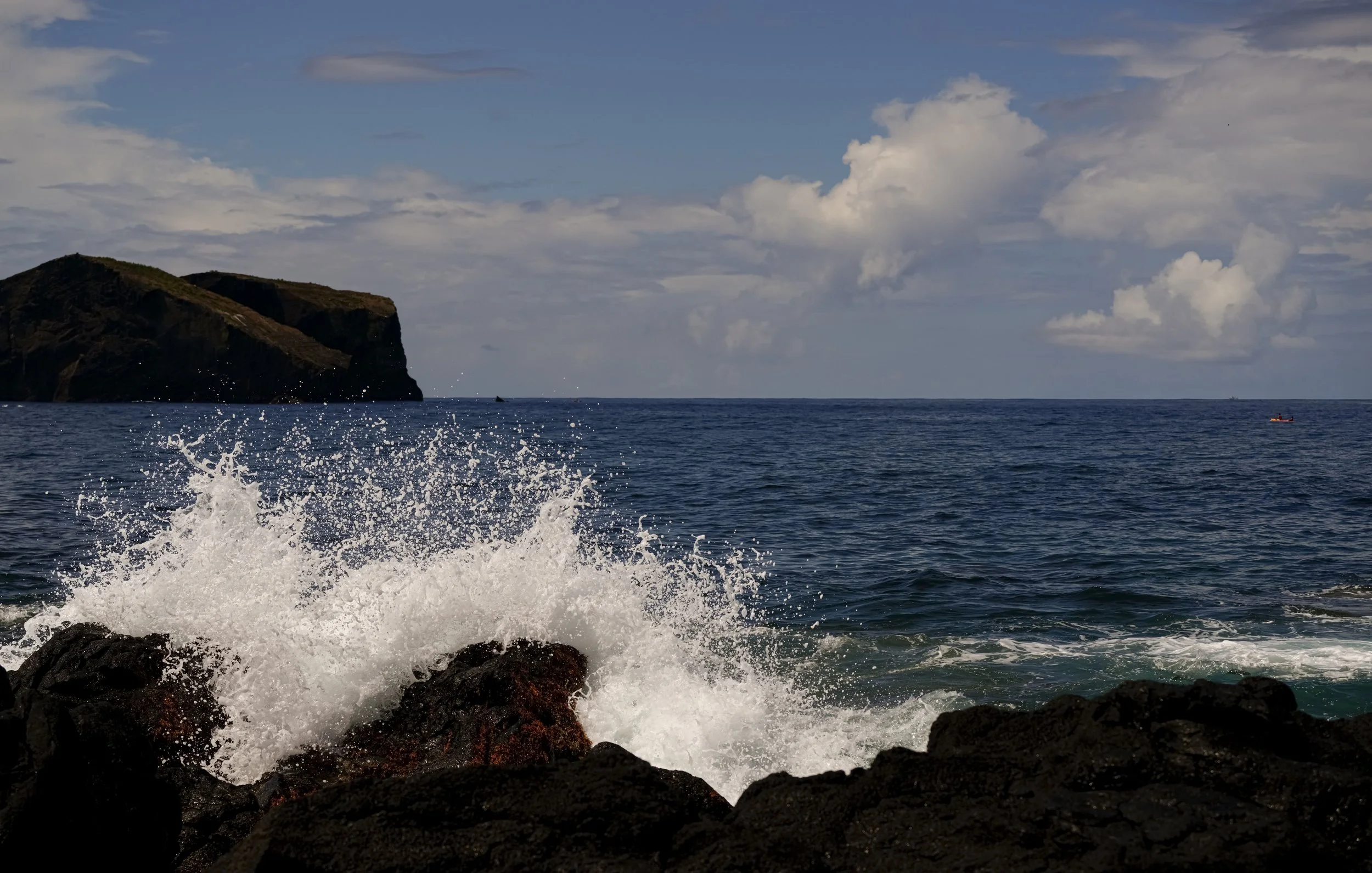 _DSC4635.jpg