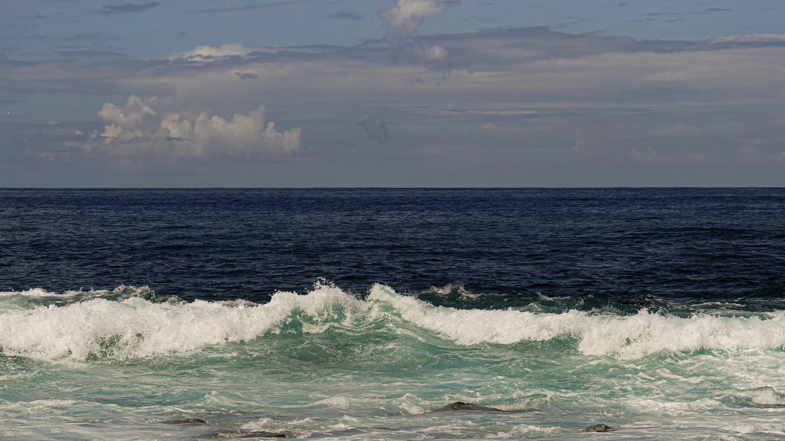 _DSC4594.jpg