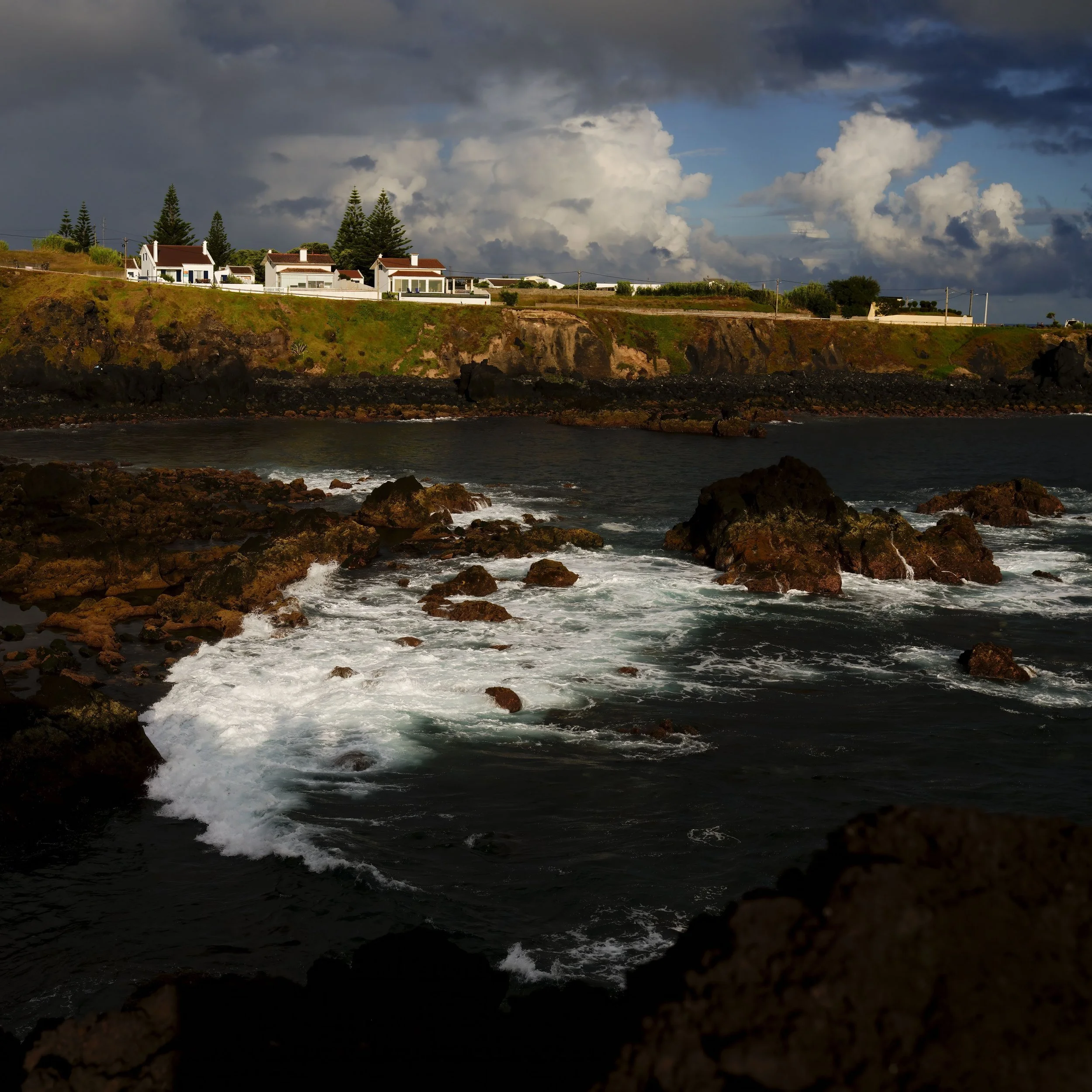 _DSC4454.jpg