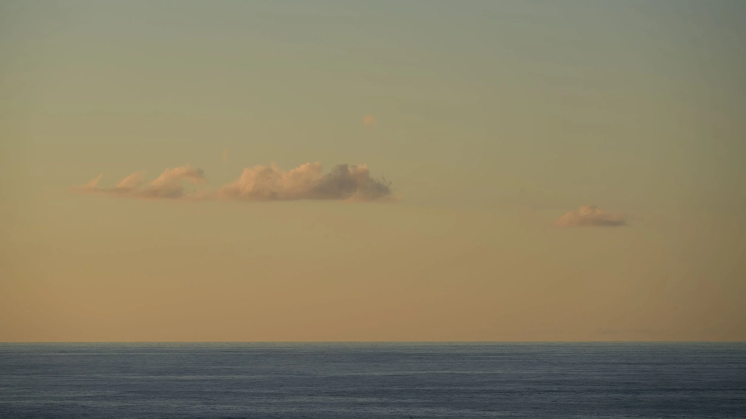 _DSC3785.jpg