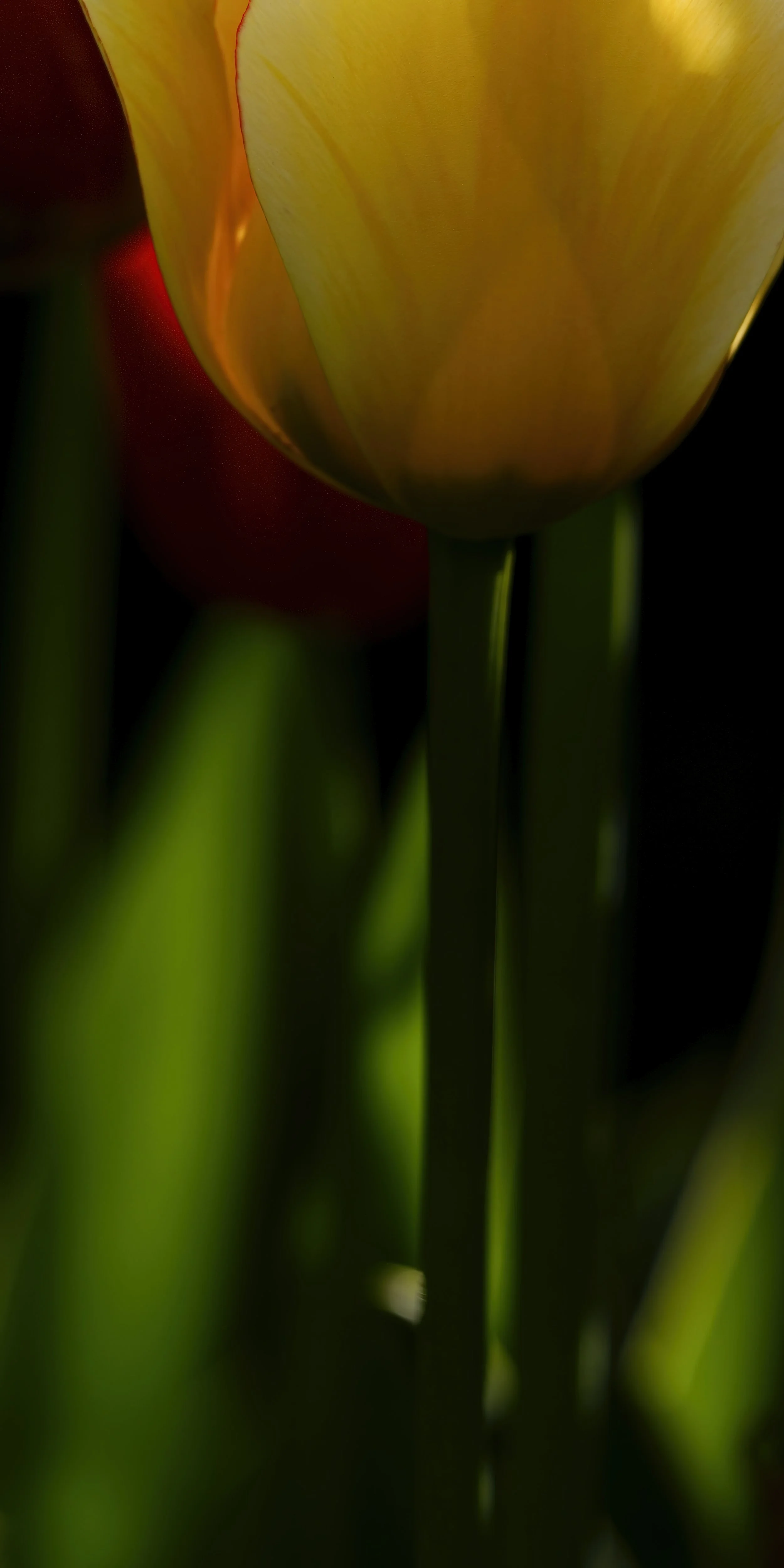_DSC0397 copy.jpg