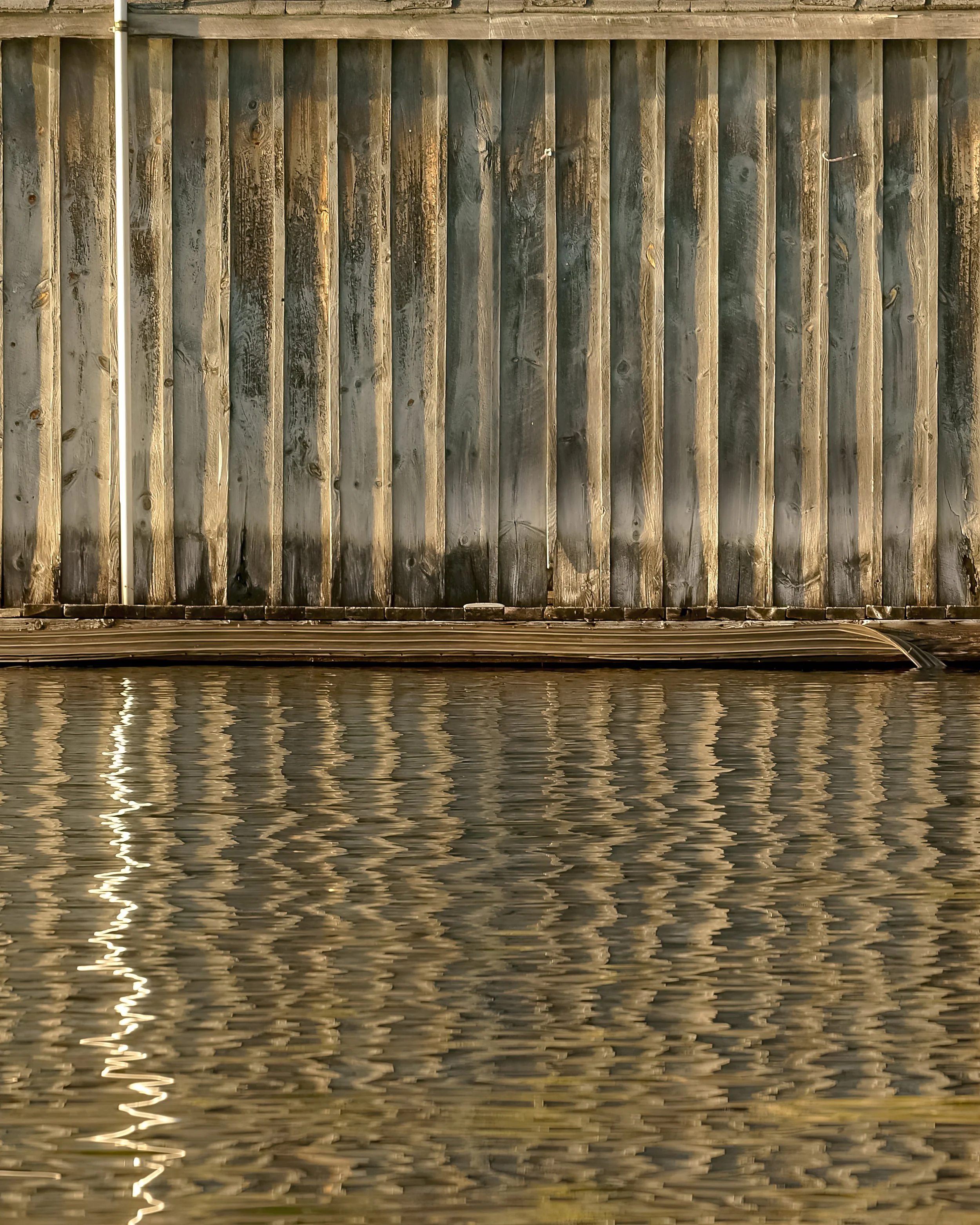 _ED_DSC5911-gigapixel.jpg