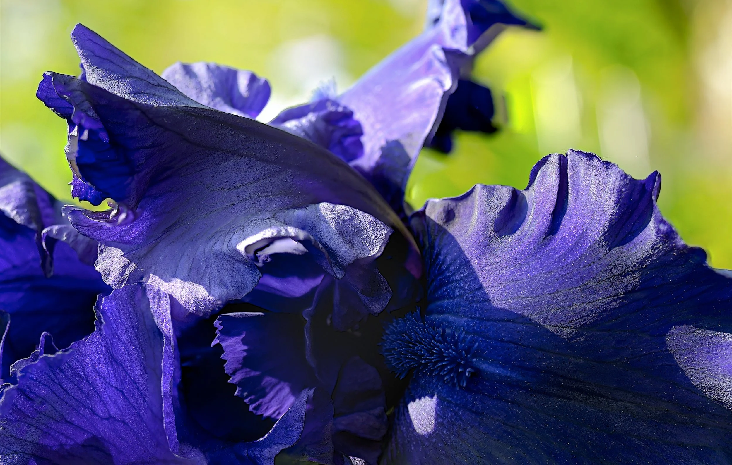 _DSC0553.1.jpg
