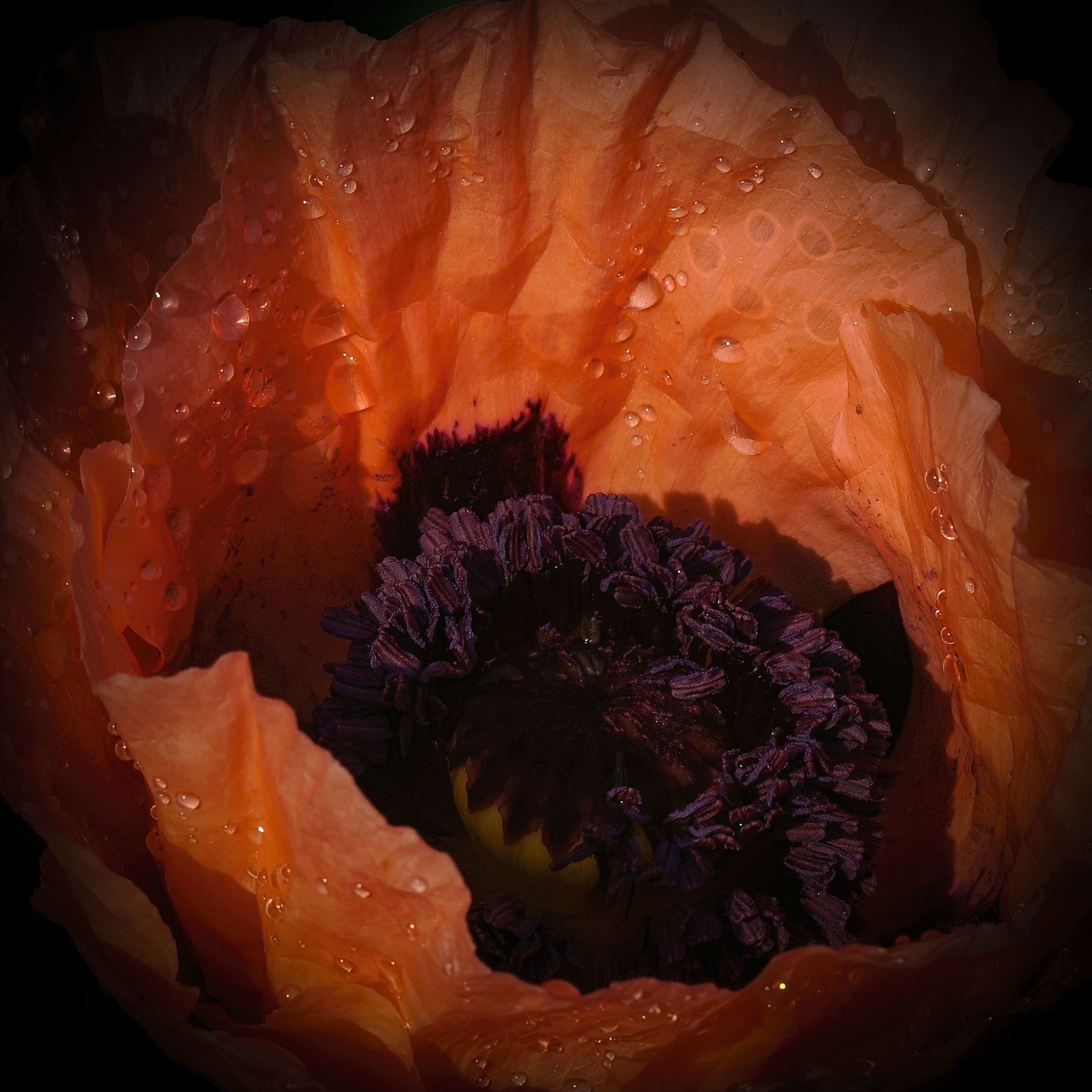 _ED_DSC9518-2-gigapixel.jpg