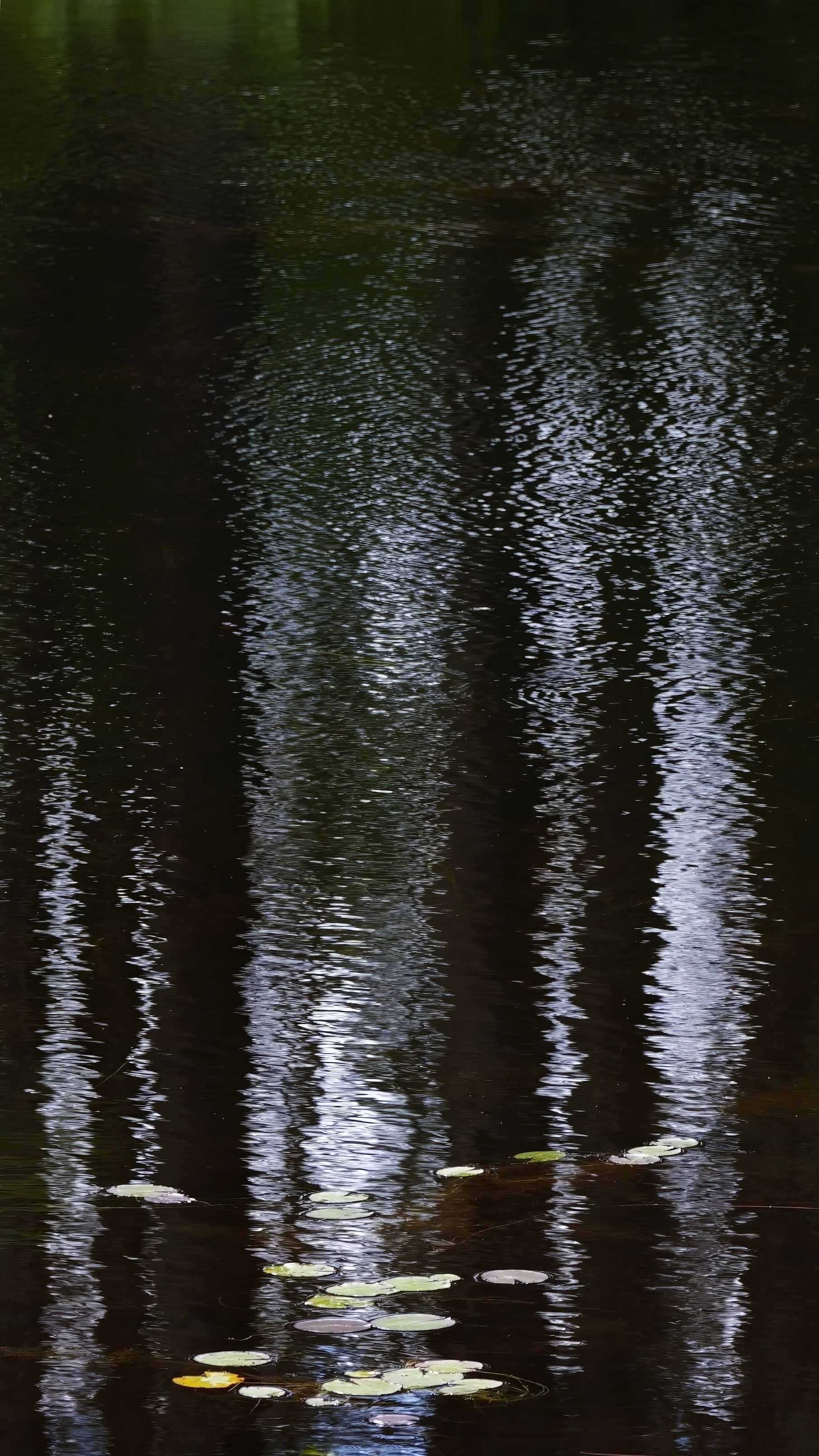 _ED_DSC7845-gigapixel.jpg