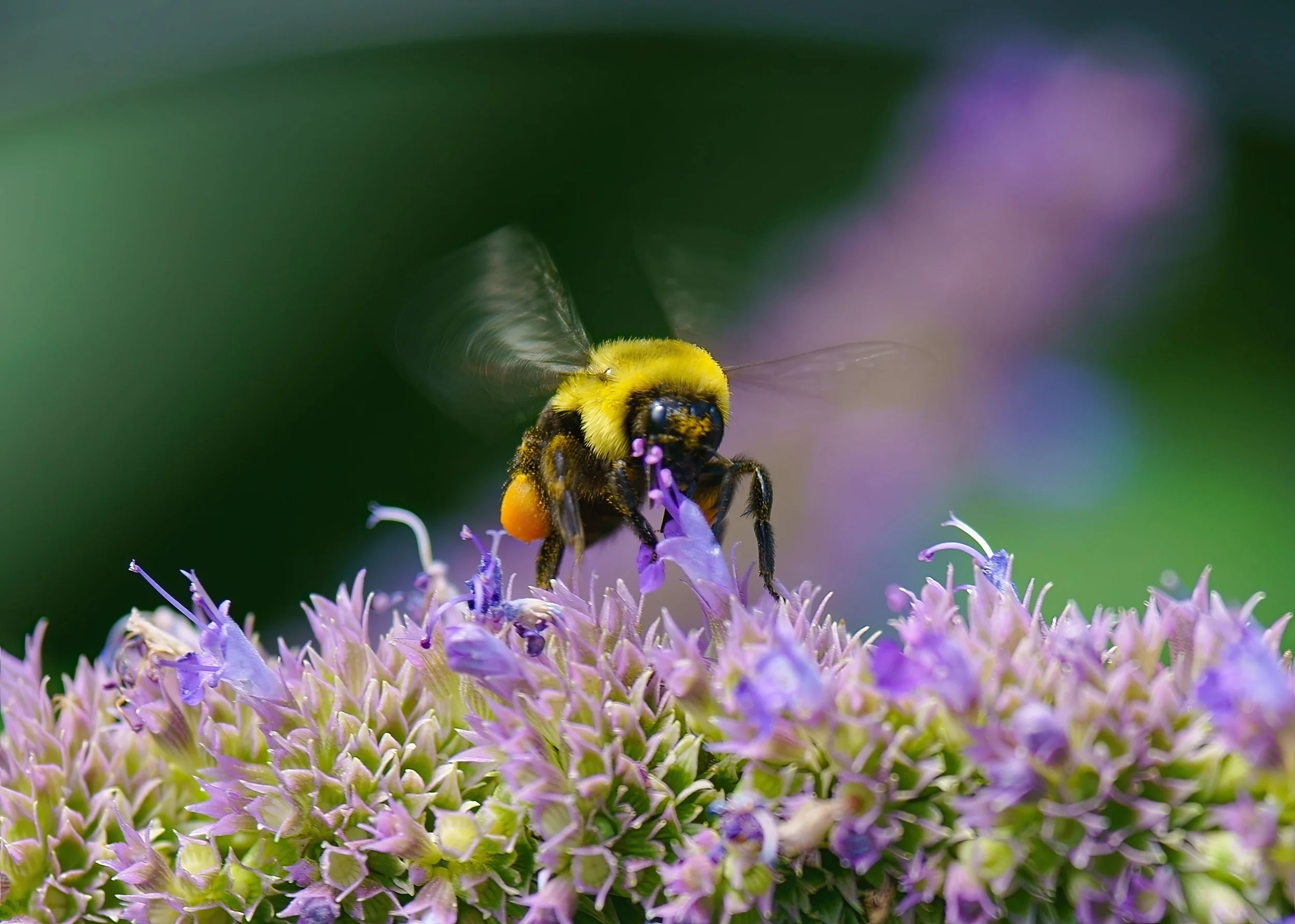 _ED_DSC0255-2-gigapixel.jpg