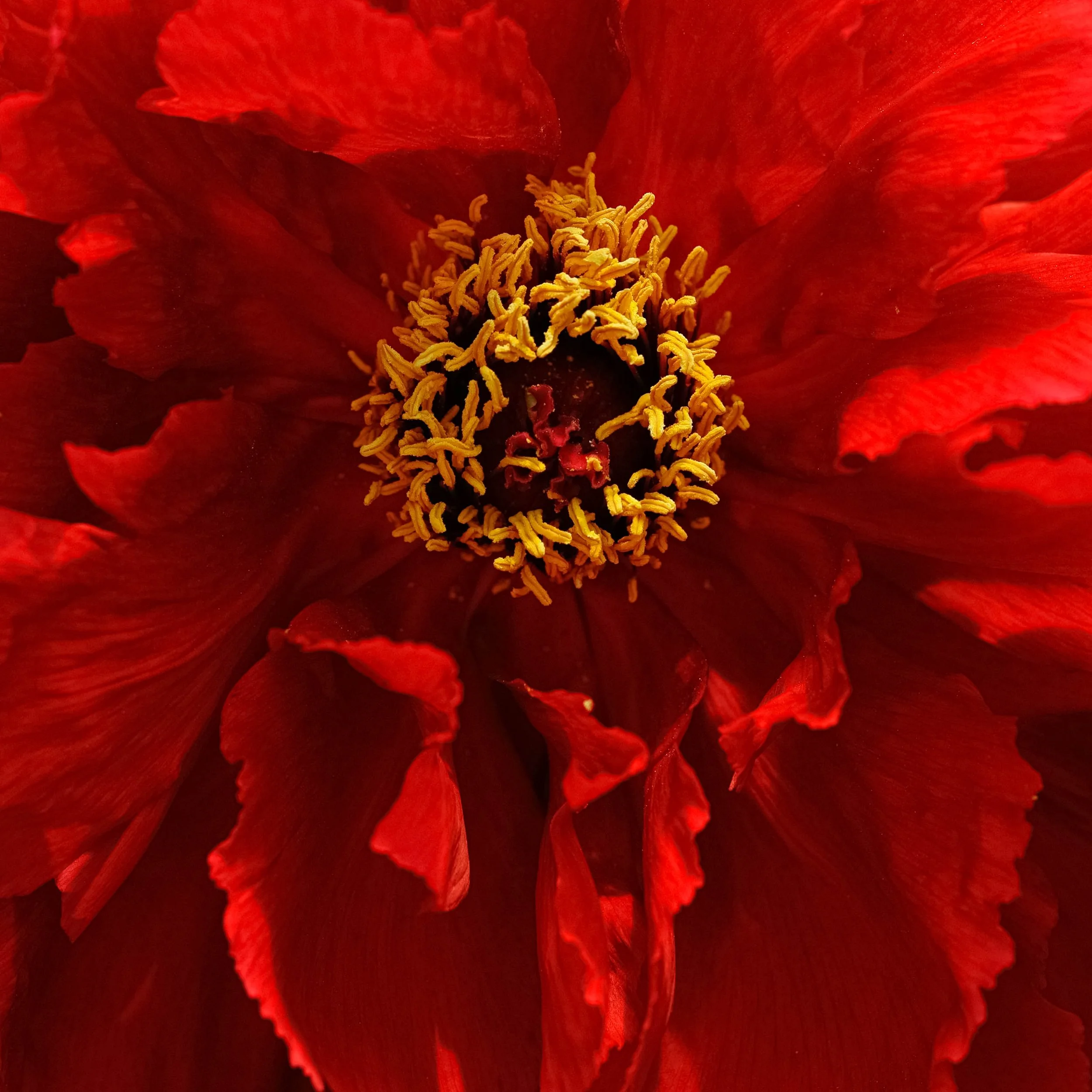 _DSC0041-Edit-2.jpg