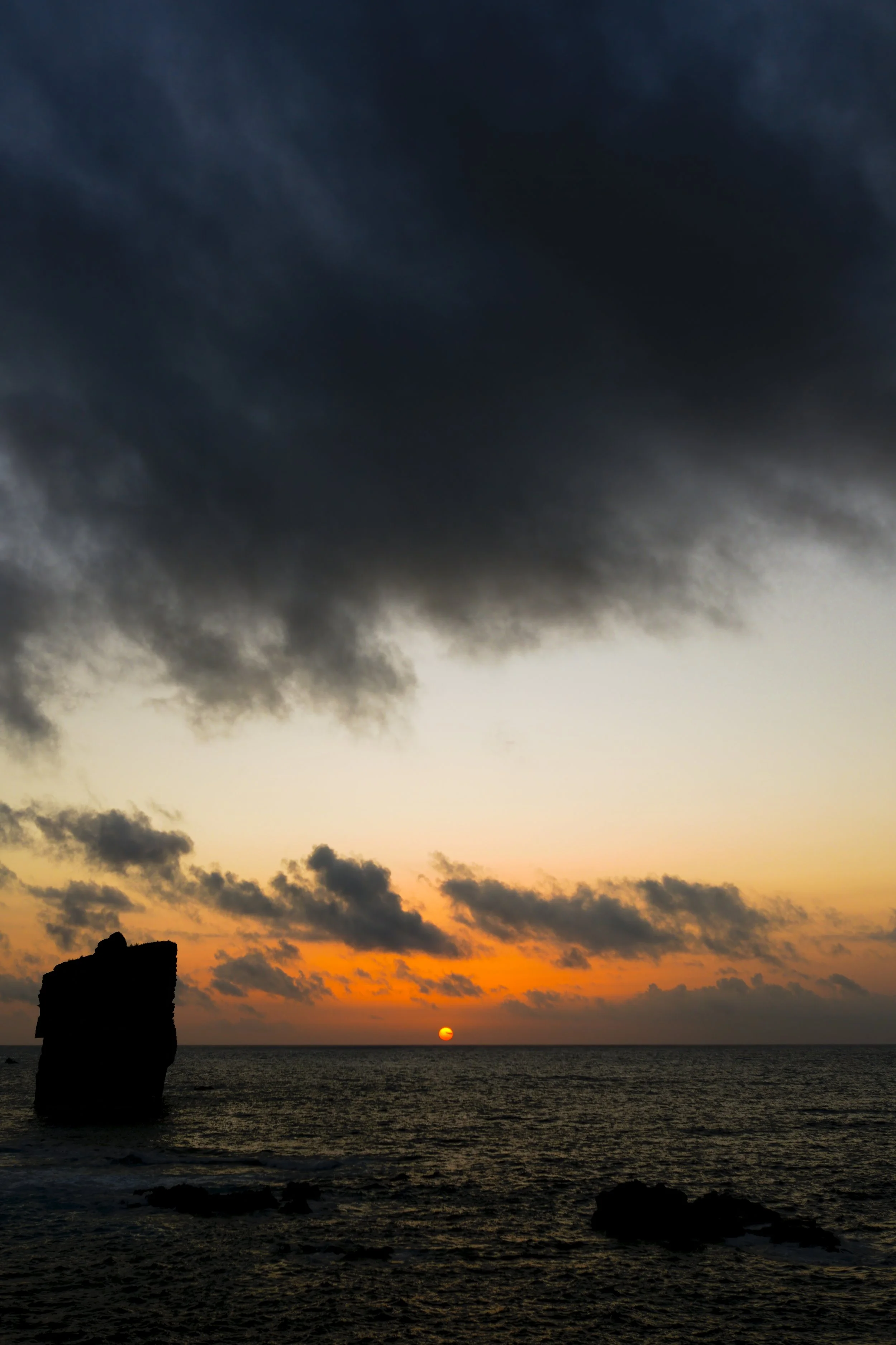 _DSC5562.jpg