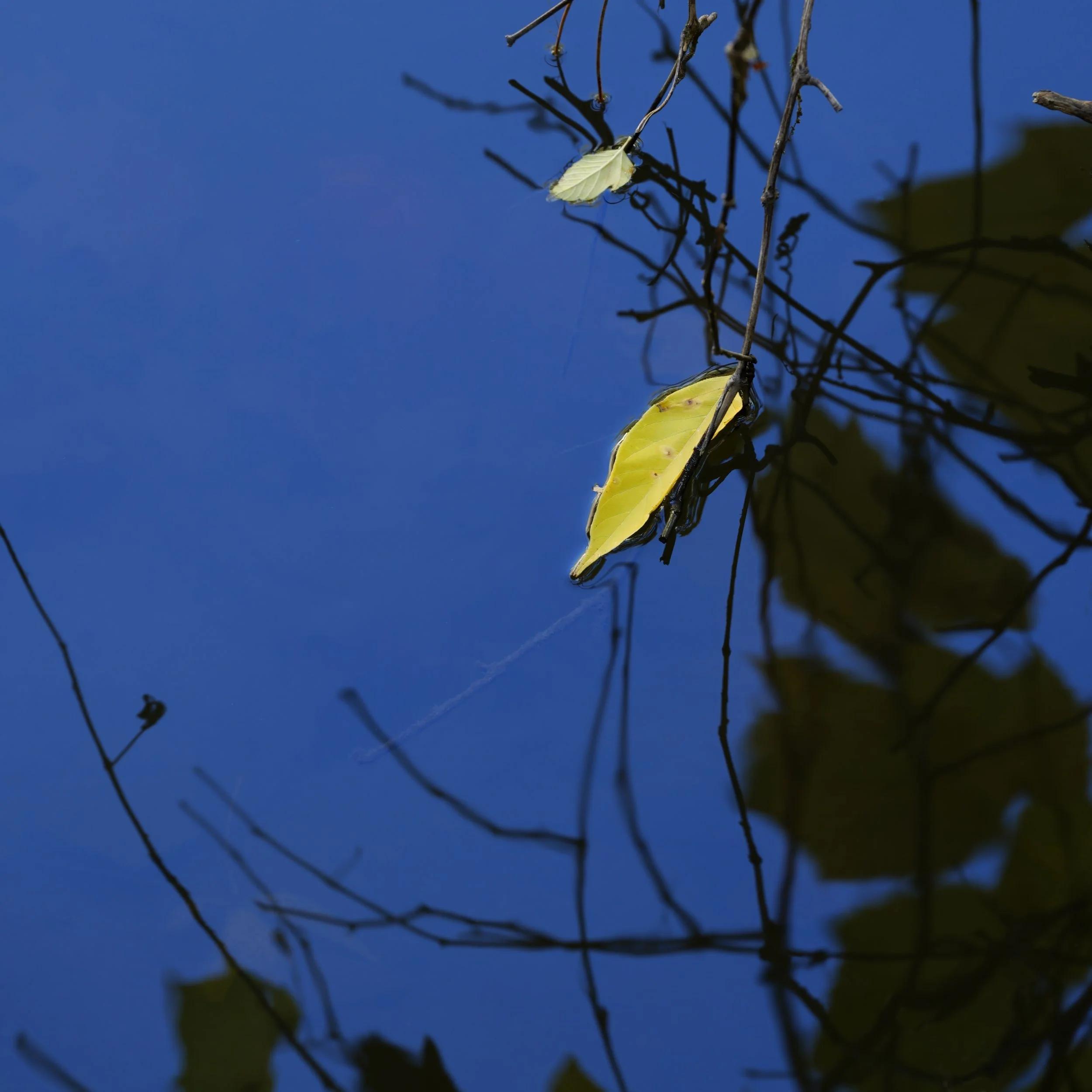 _DSC9379.jpg