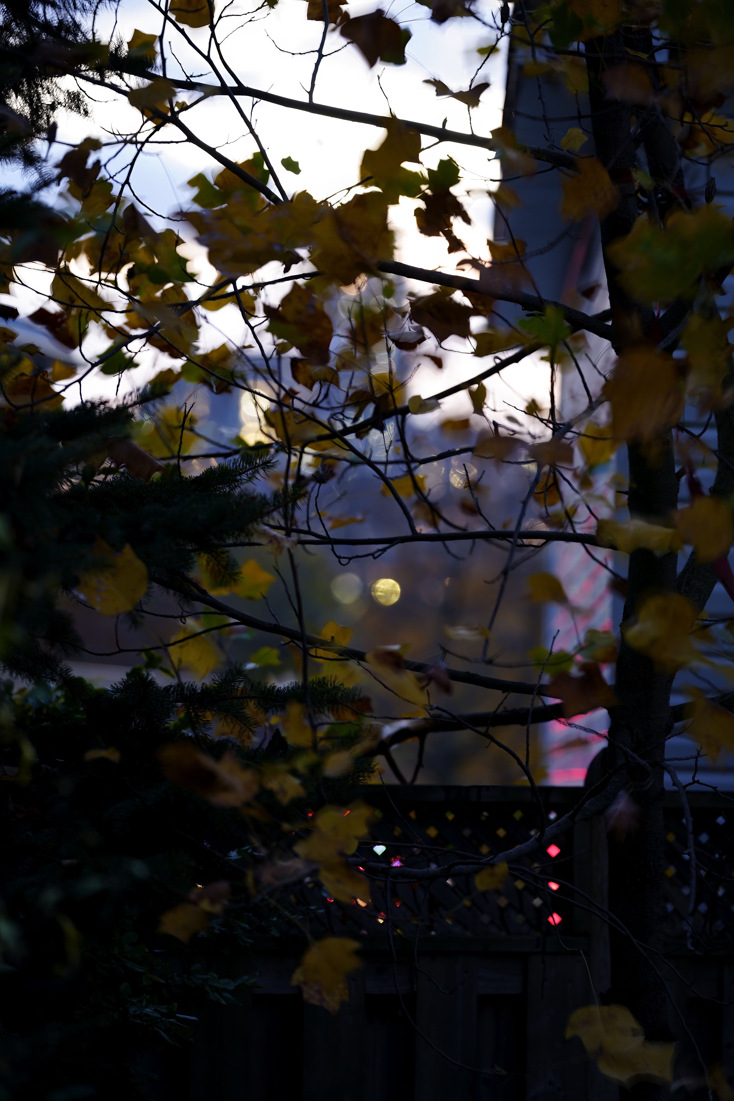DSC6723-Edit.