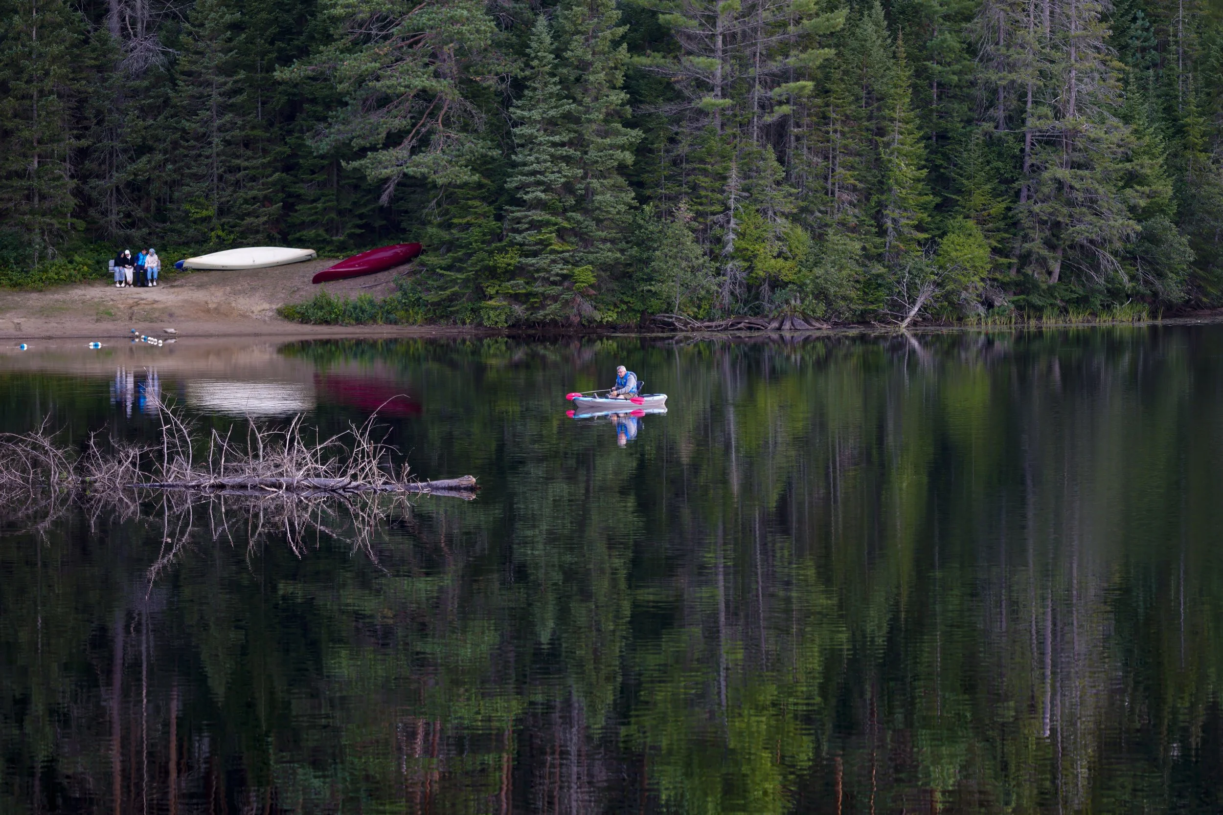 _DSC7755.jpg