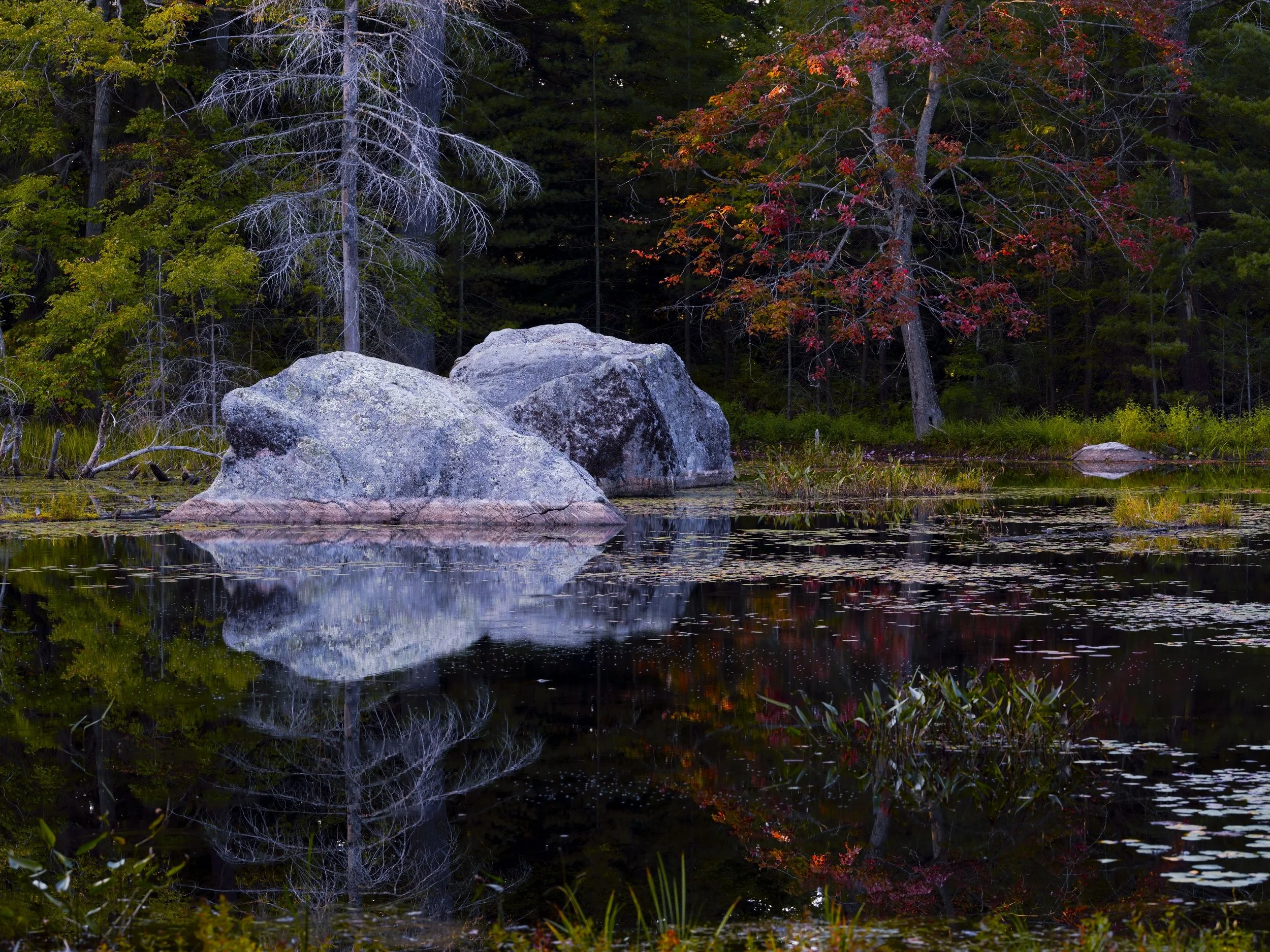 _DSC6001.jpg