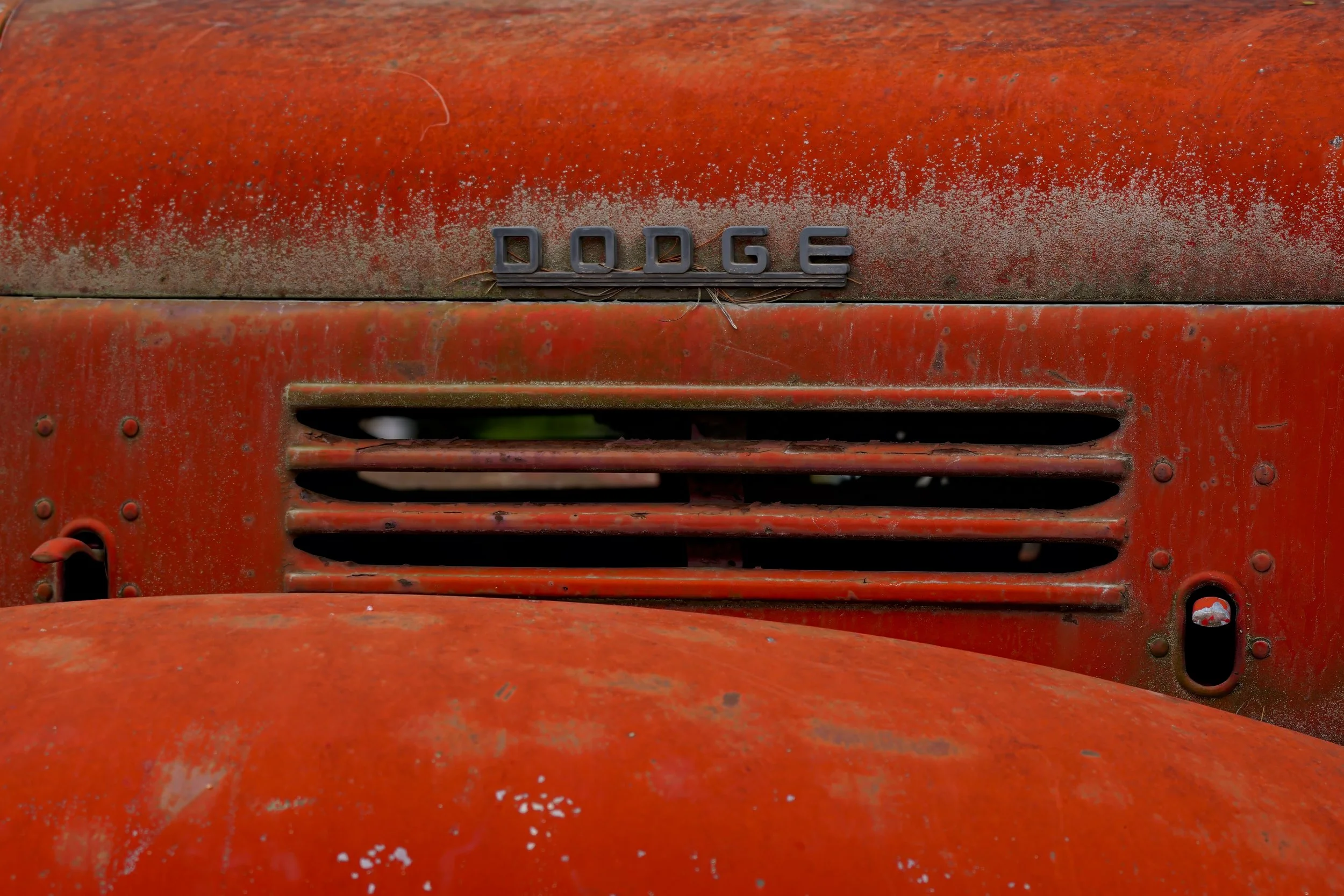 _DSC7437.jpg
