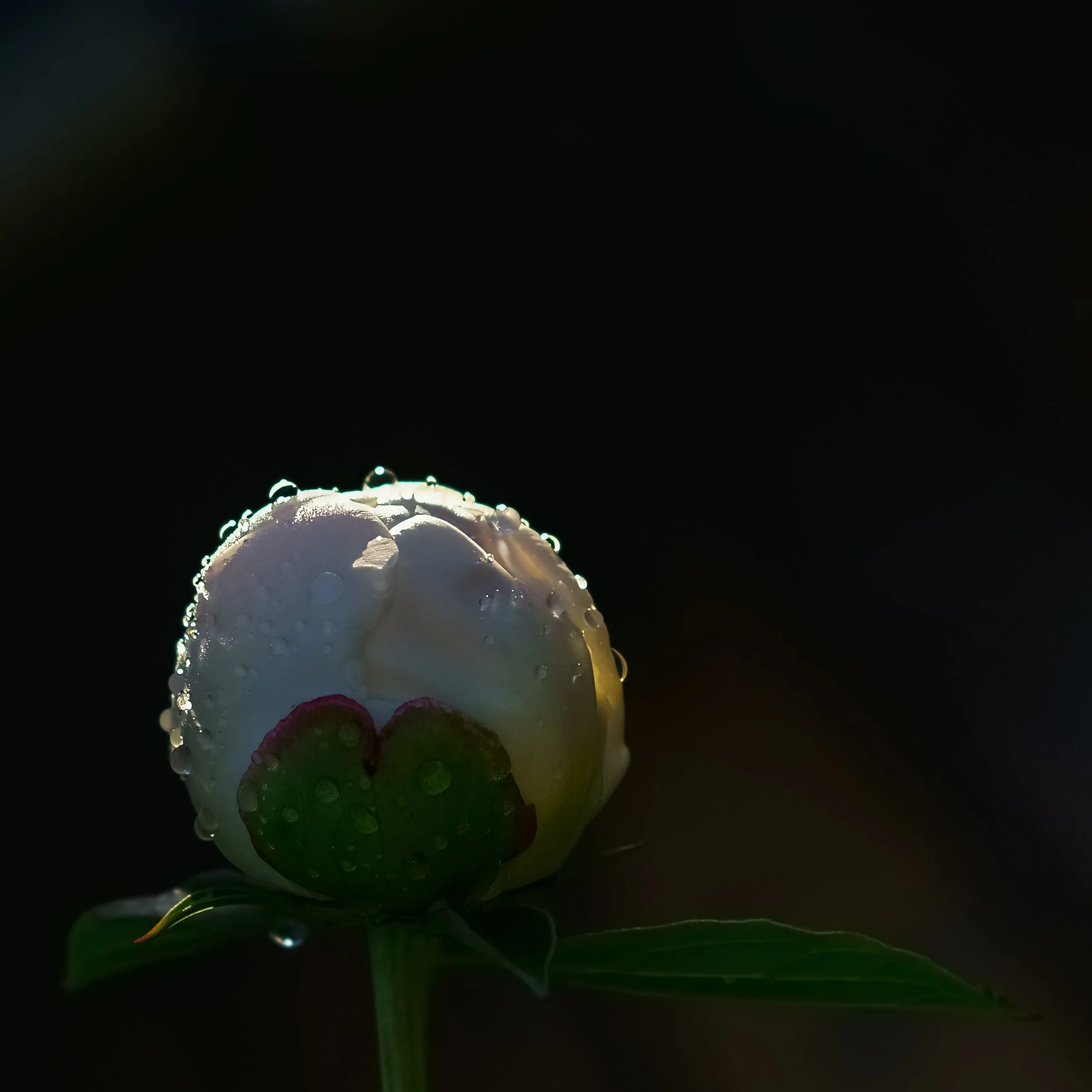 _DSC9023.jpg