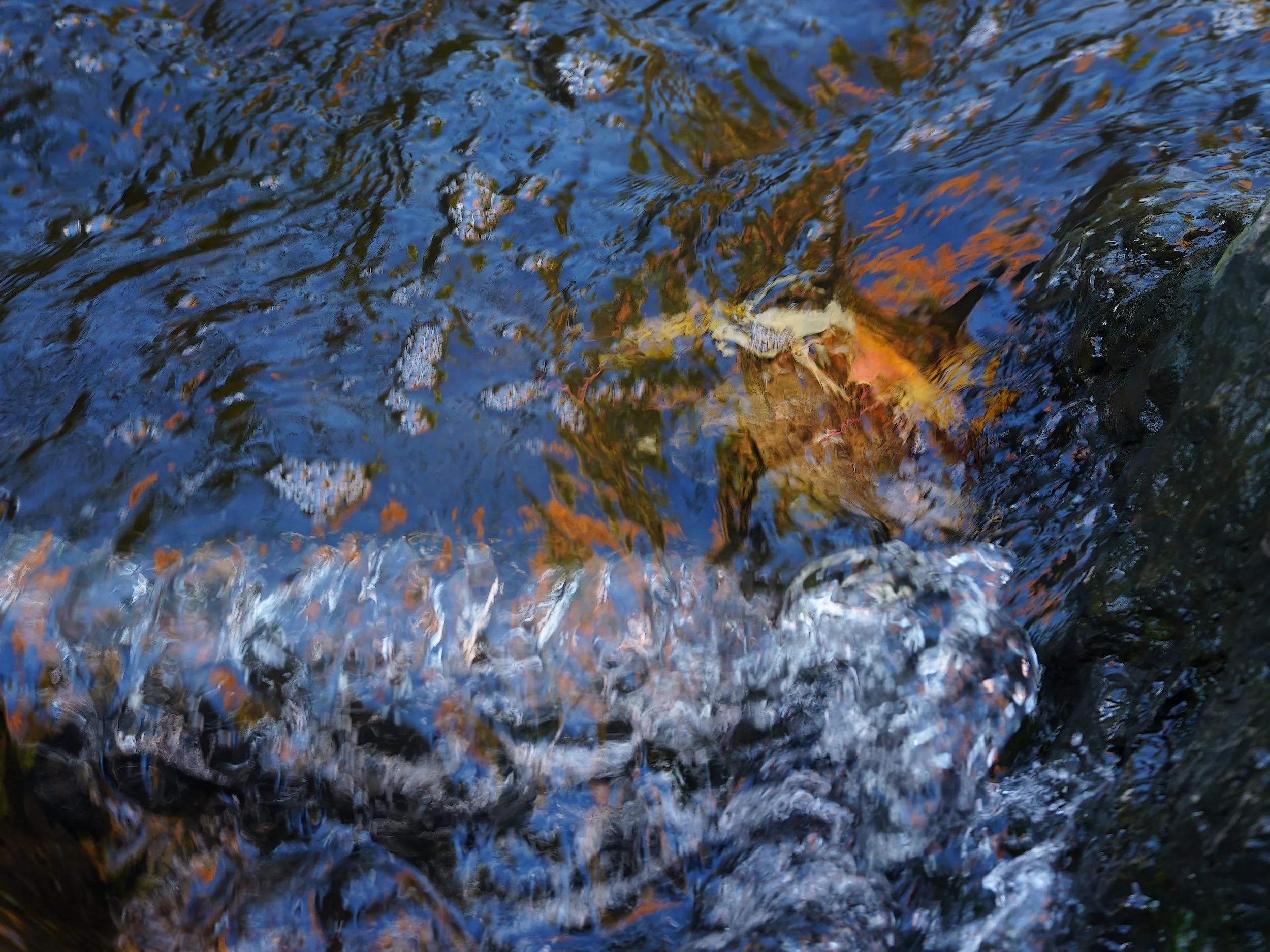 _DSC9551.jpg
