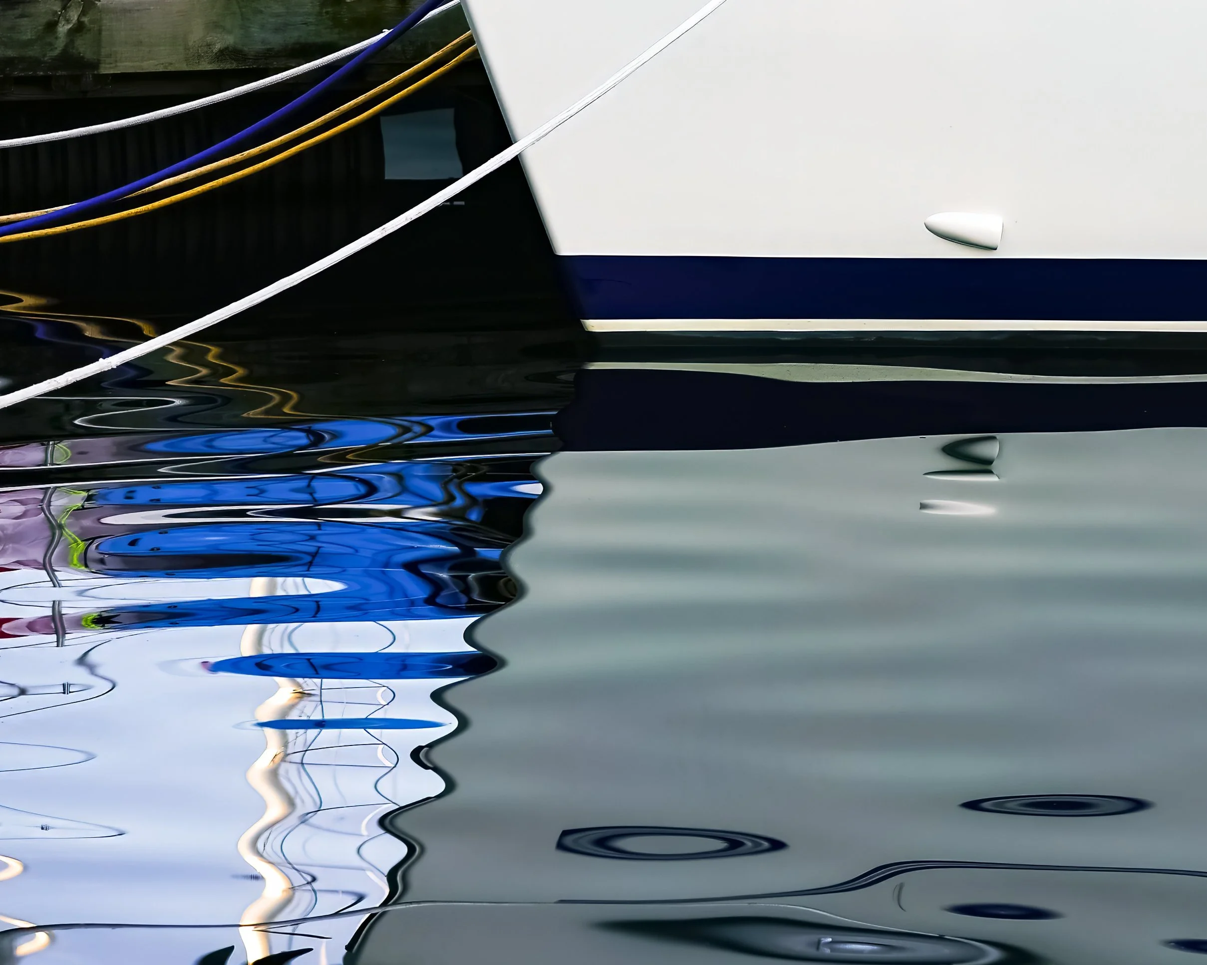_DSC9981.jpg