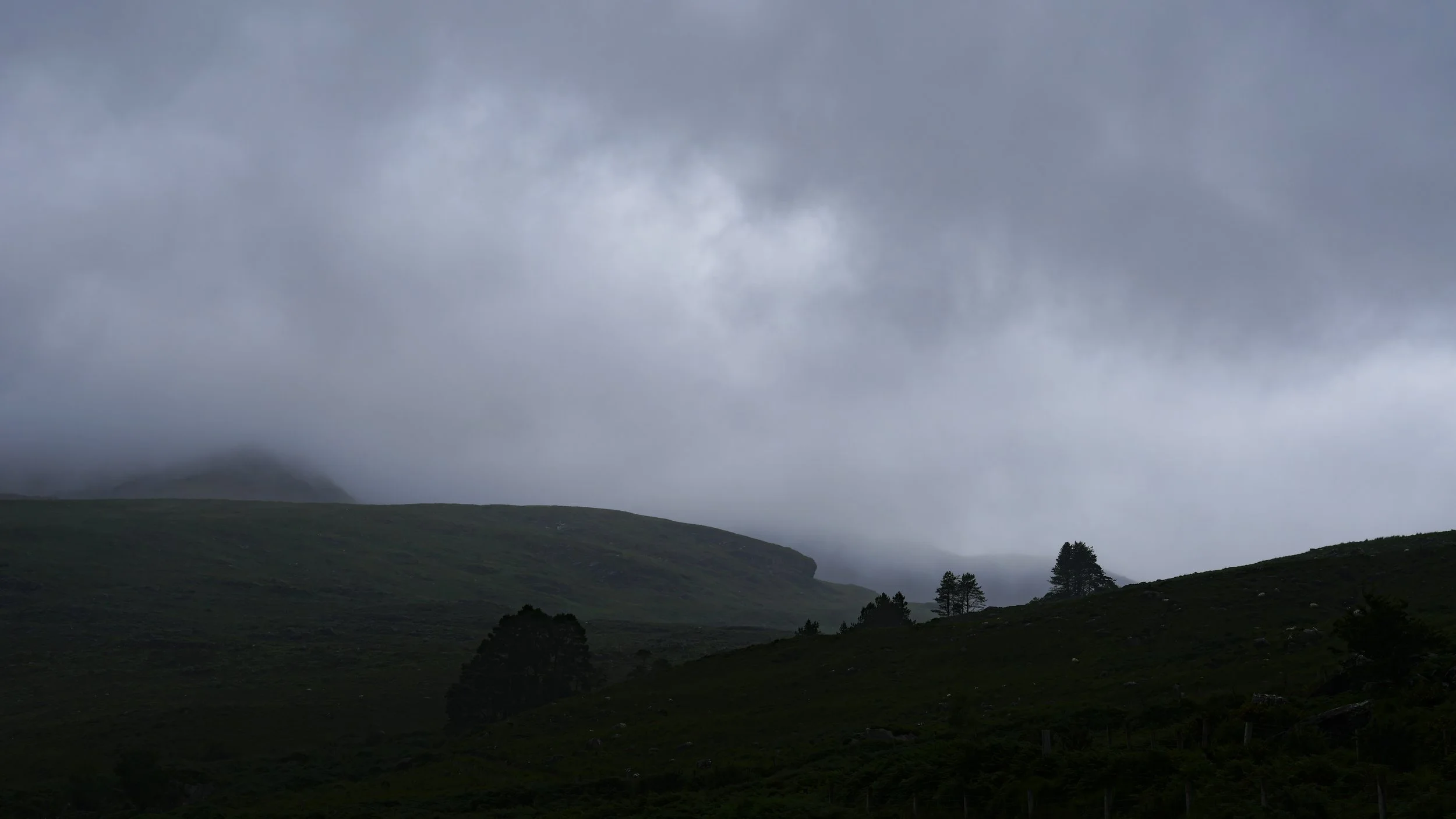 _DSC2100.jpg