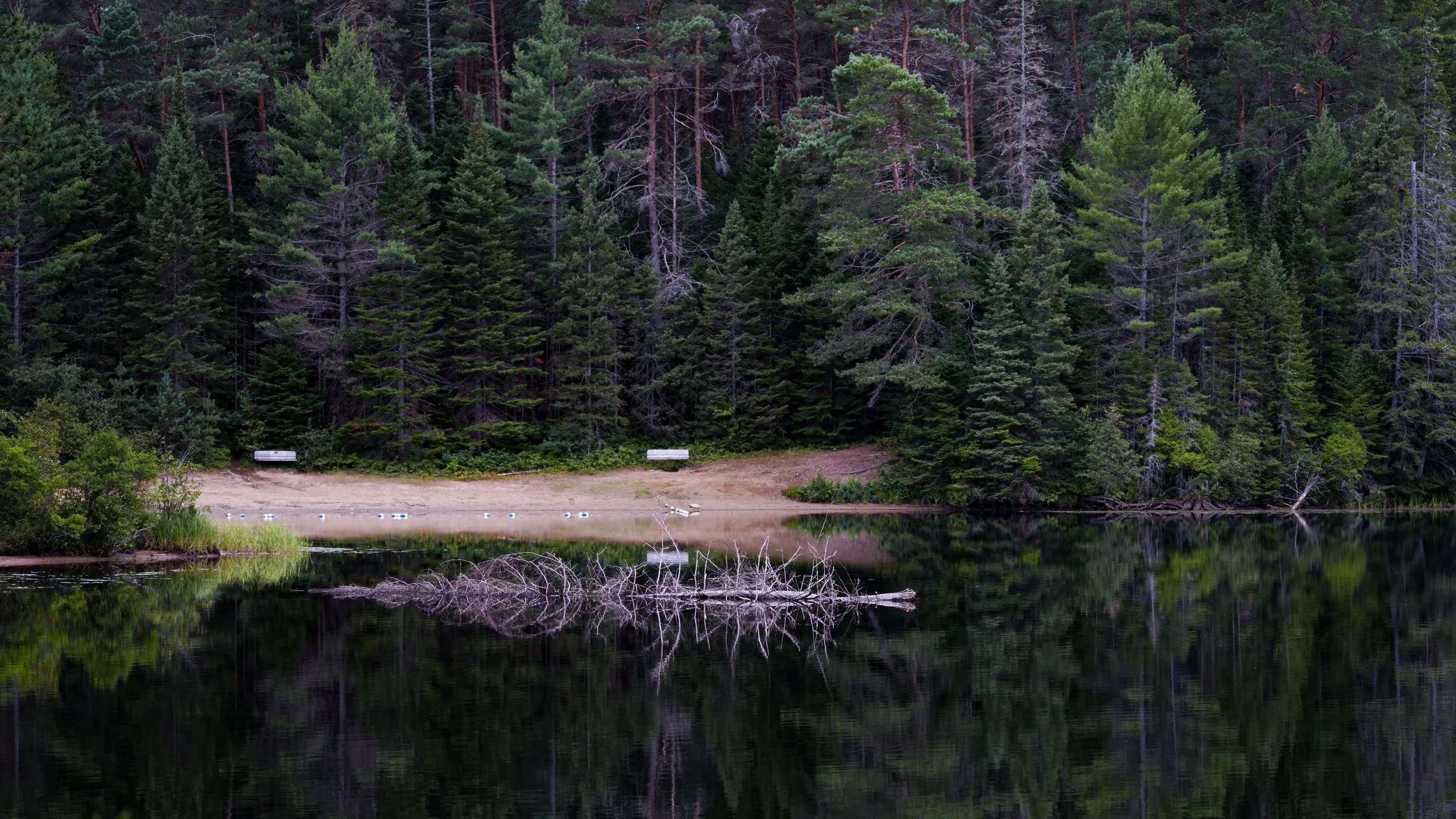 _DSC7414.jpg