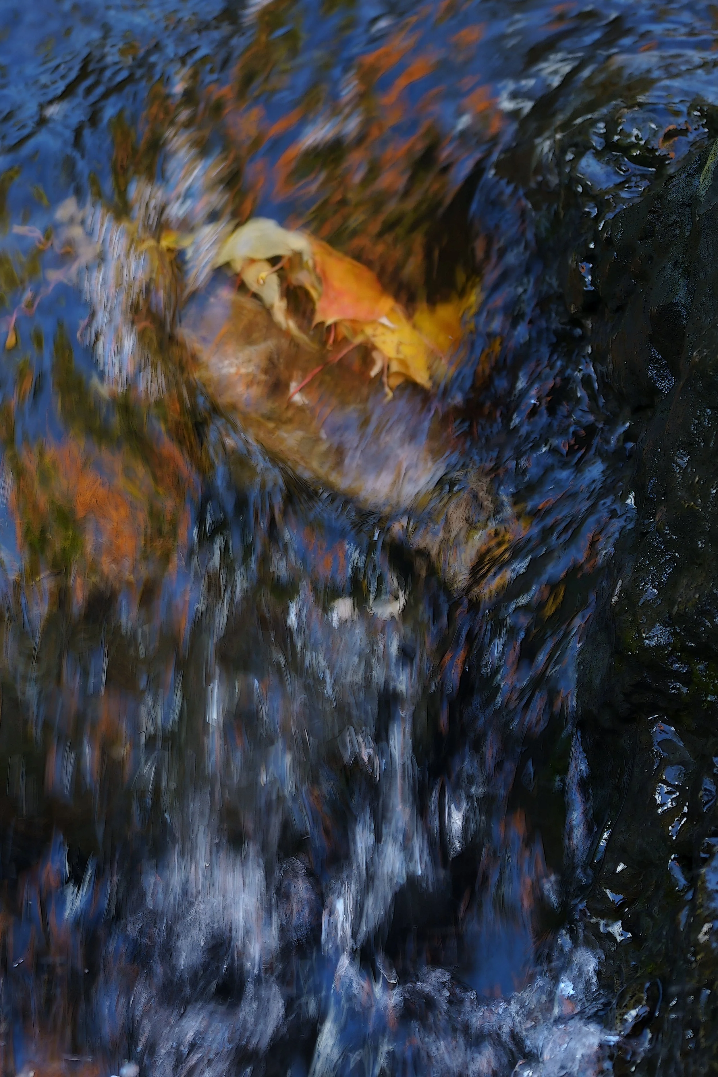 DSC9548.1.