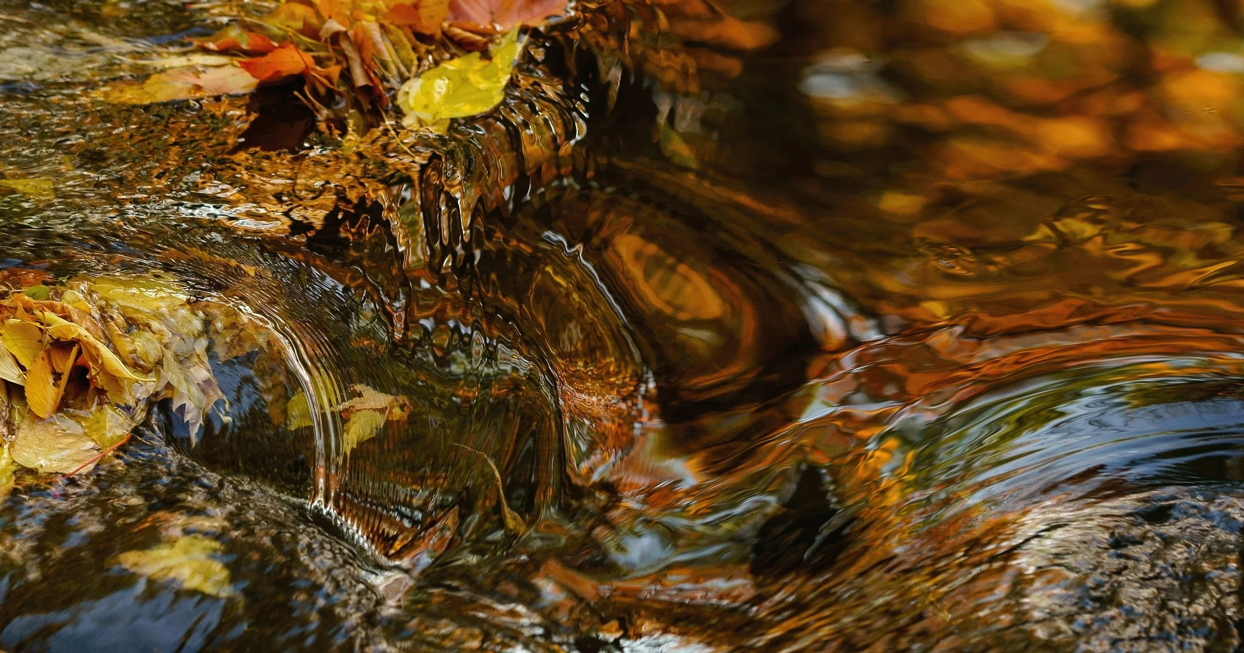 _ED_DSC5840-gigapixel.jpg