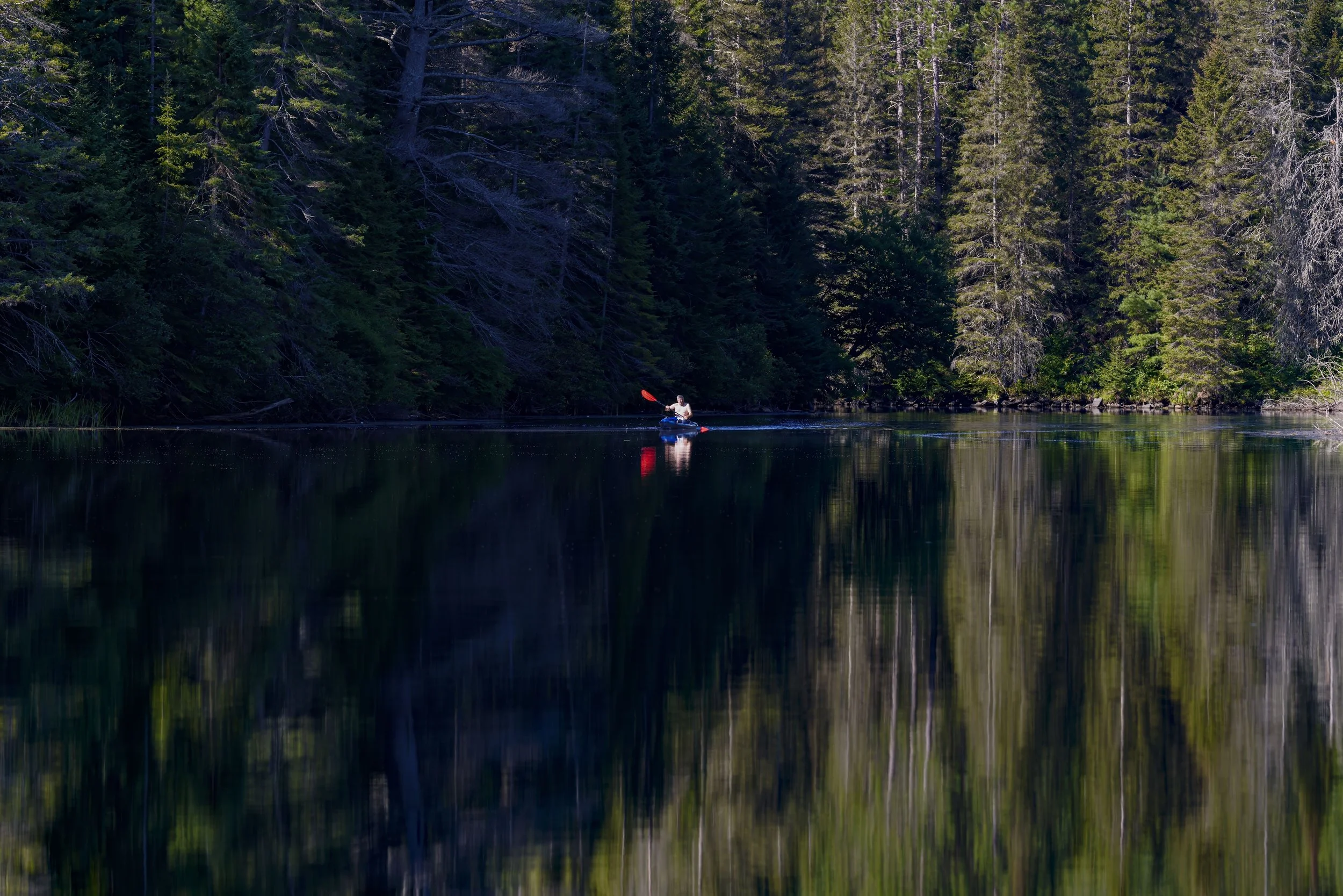 _DSC7784.jpg