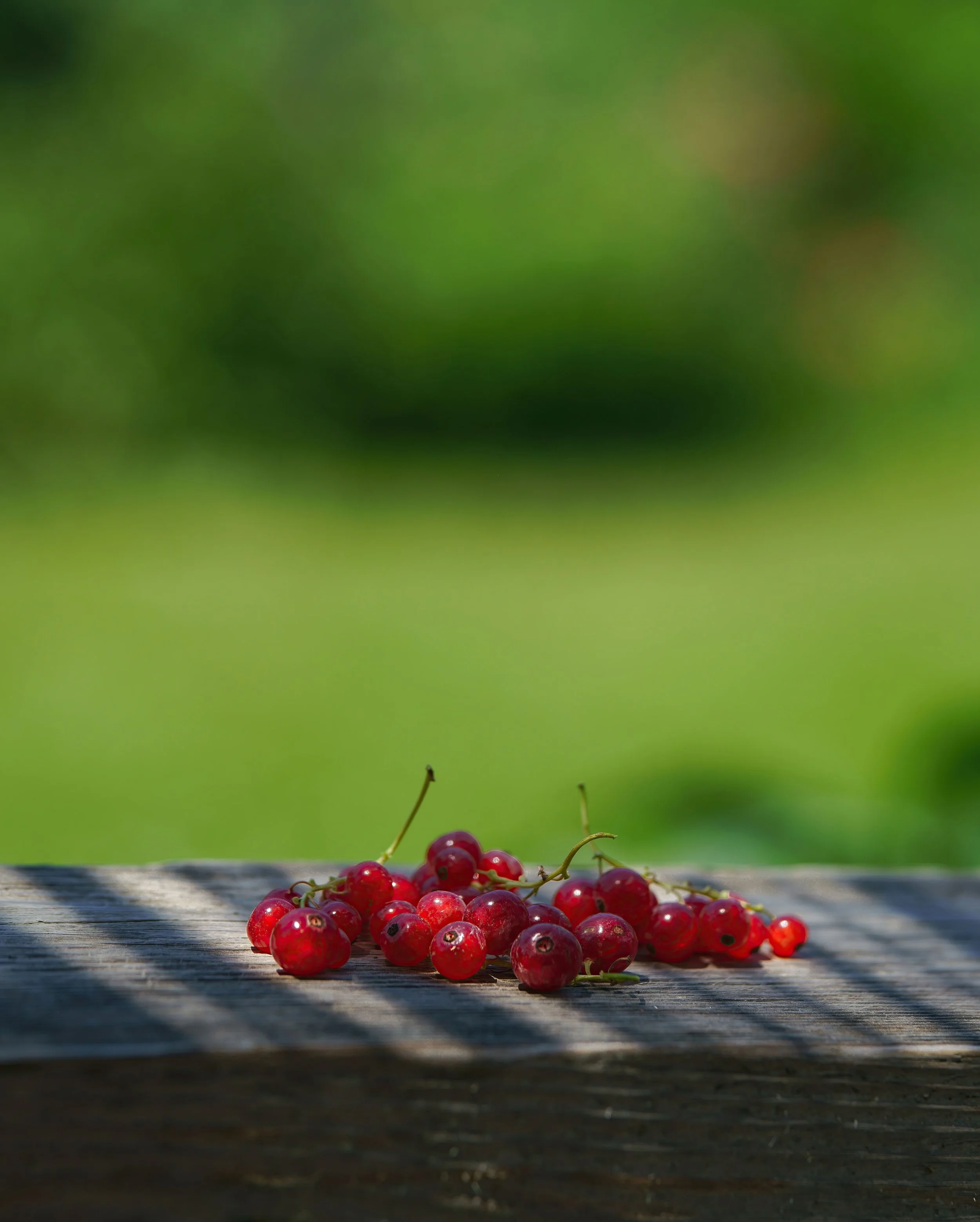 _ED_DSC0532-2-gigapixel.jpg
