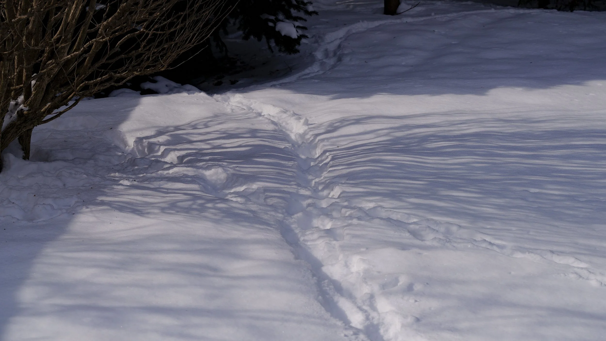 _DSC7684.jpg