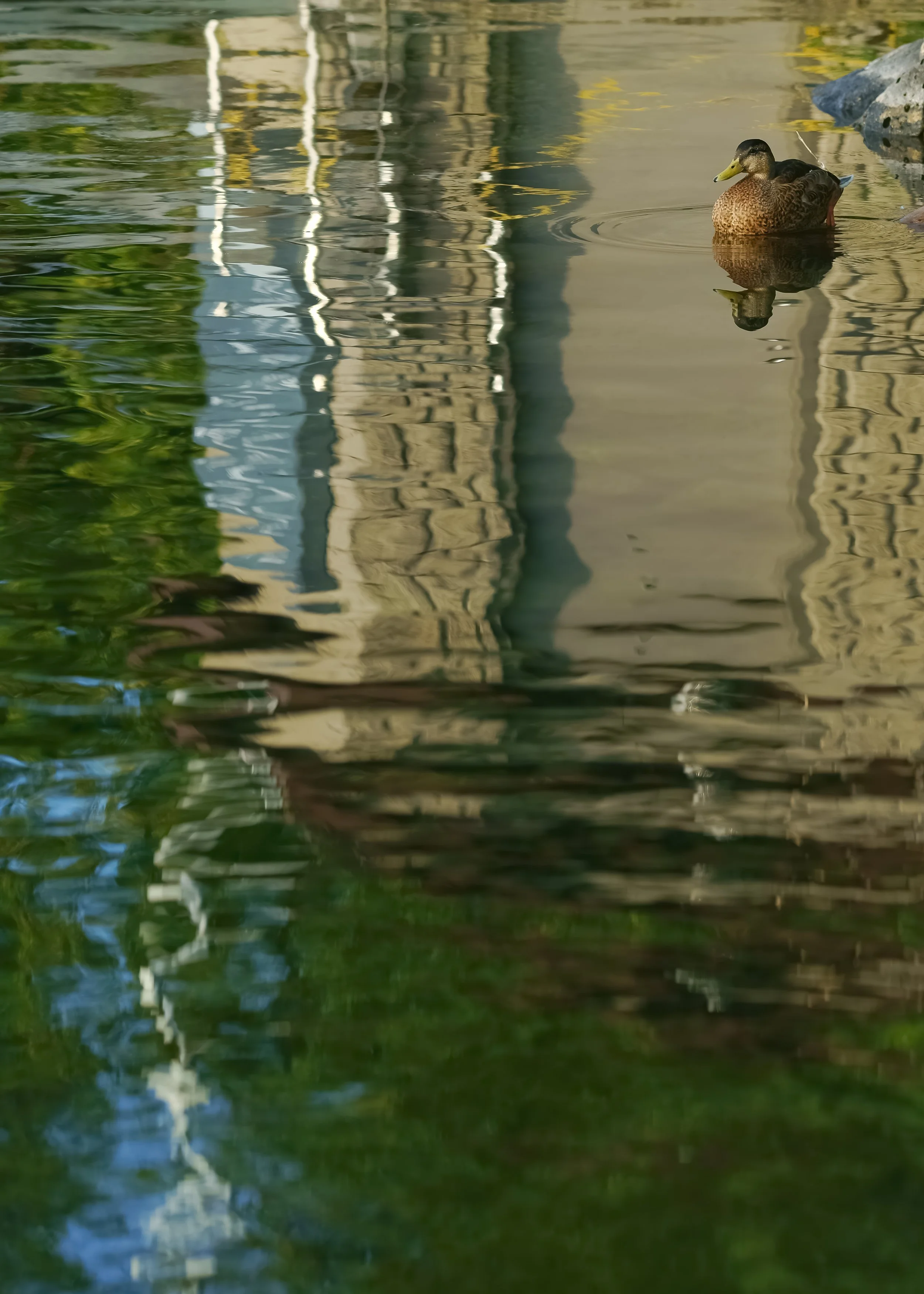 _ED_DSC9901 (2)-gigapixel.jpg
