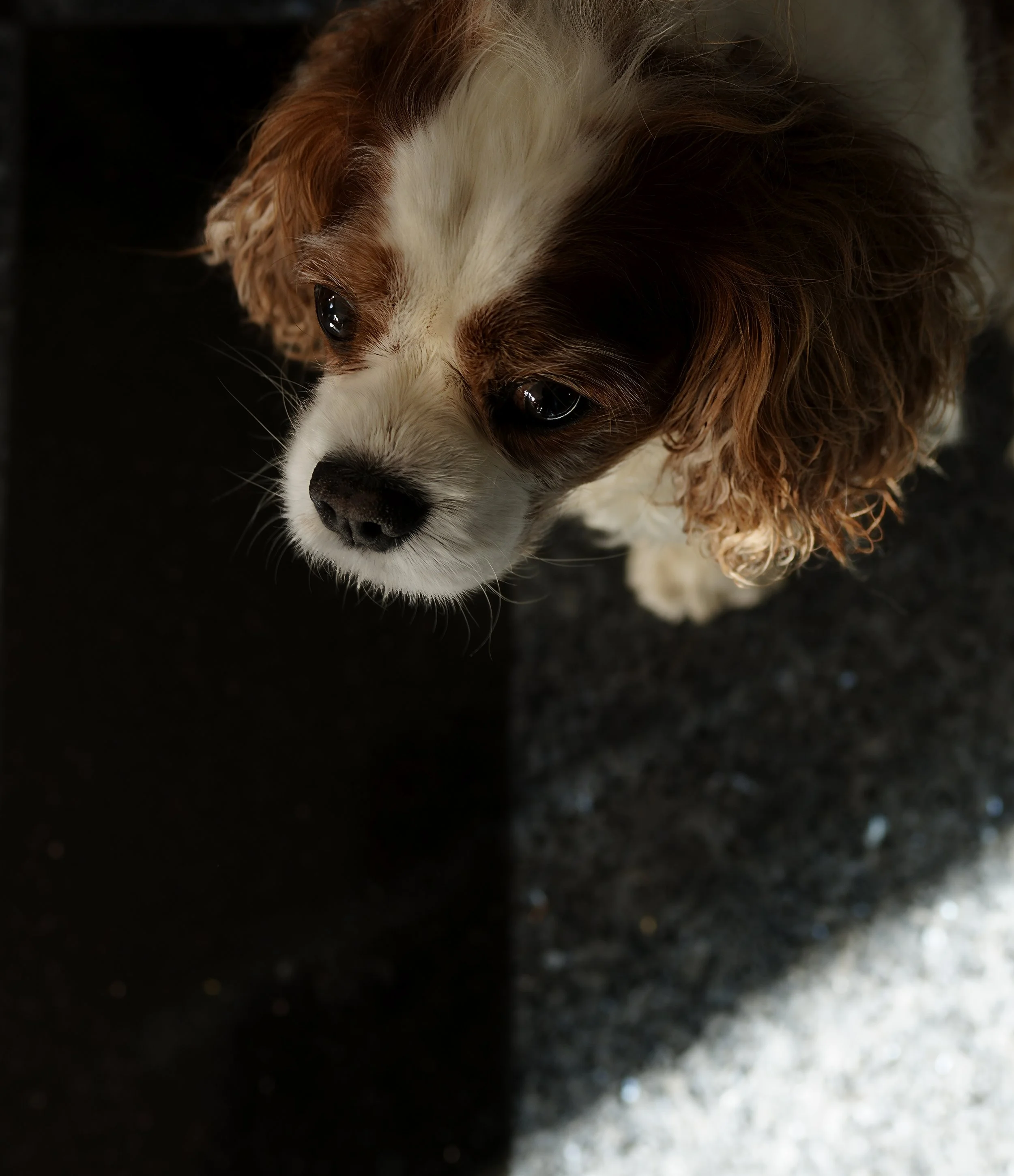 DSC7137