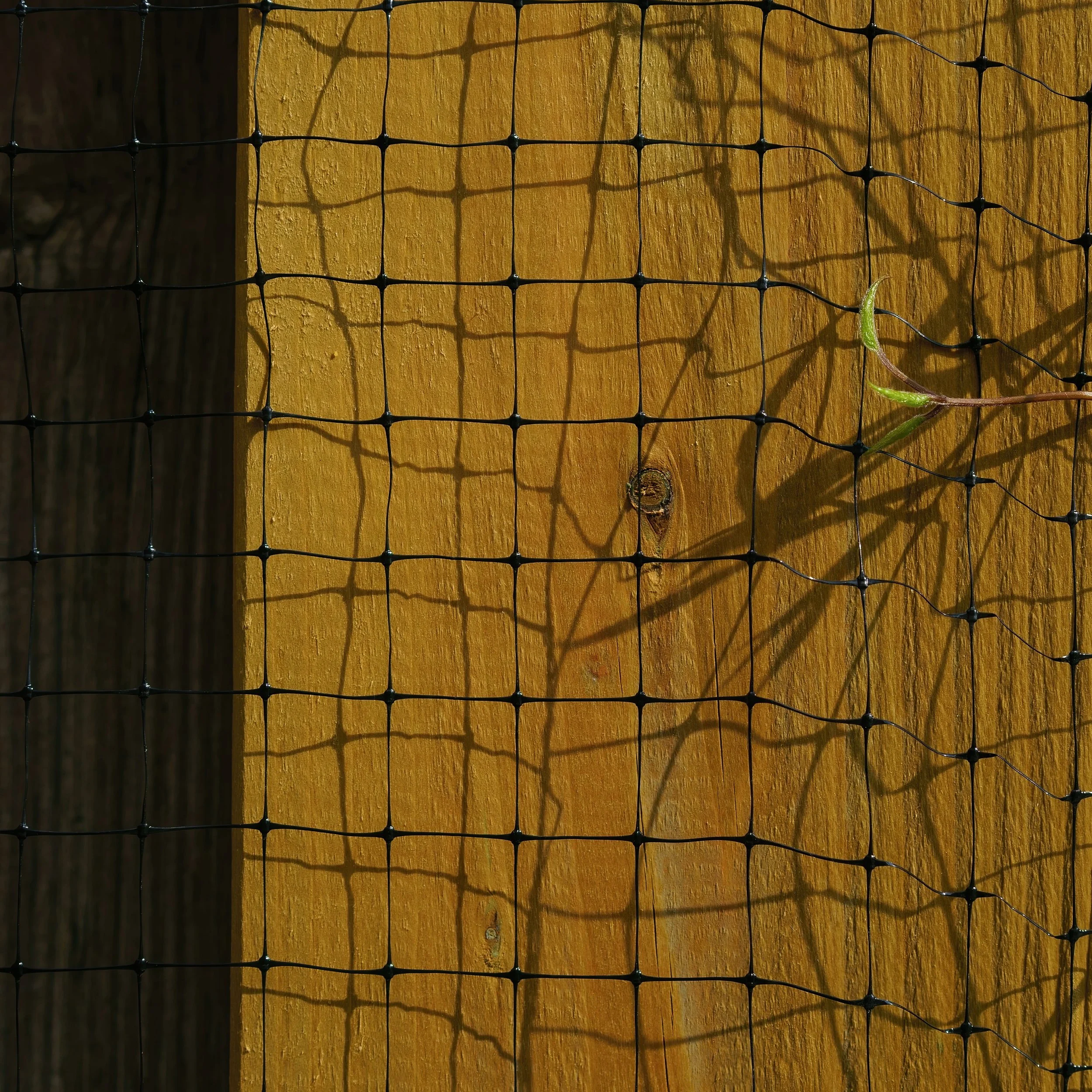 _ED_DSC9695-gigapixel.jpg