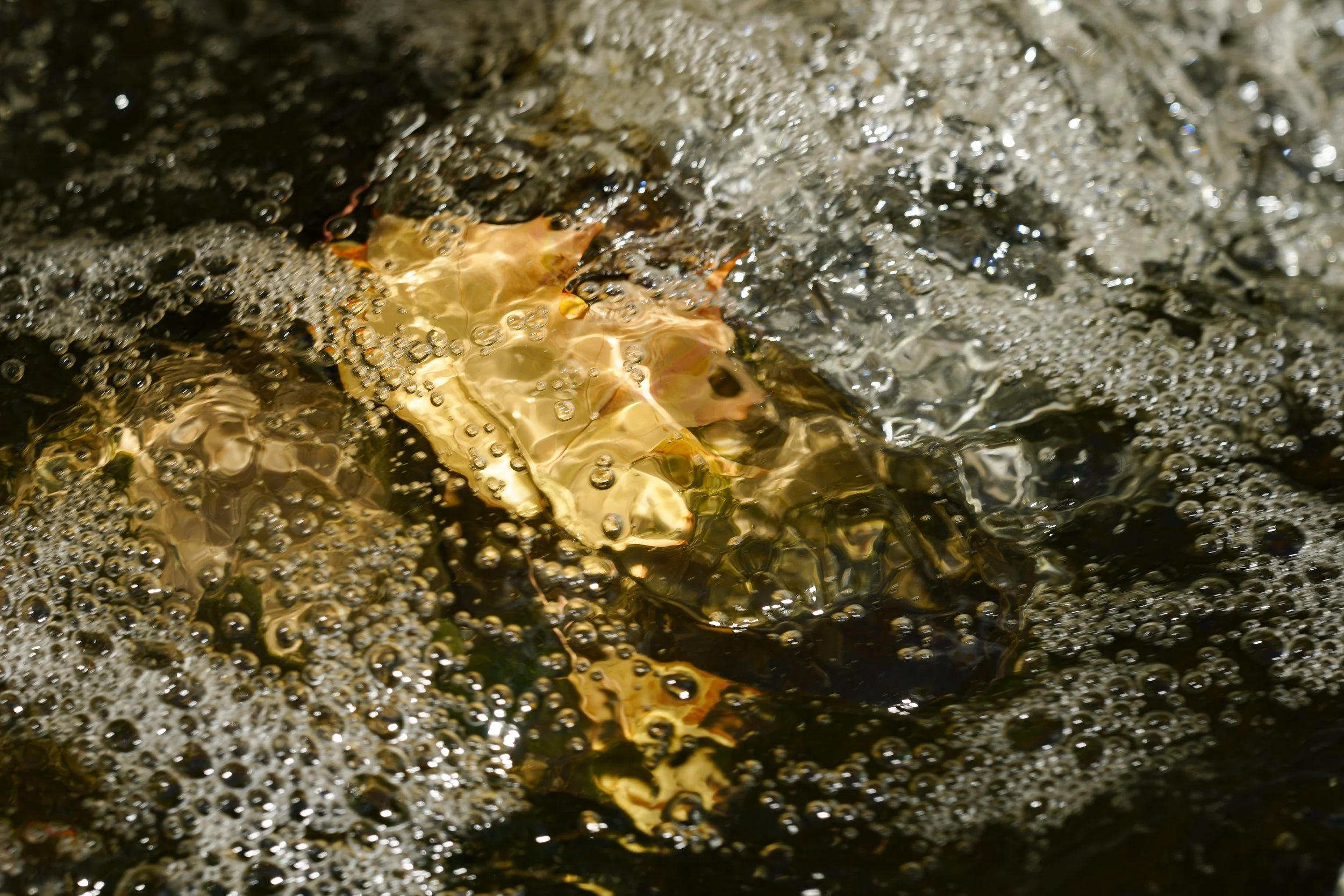 DSC9124