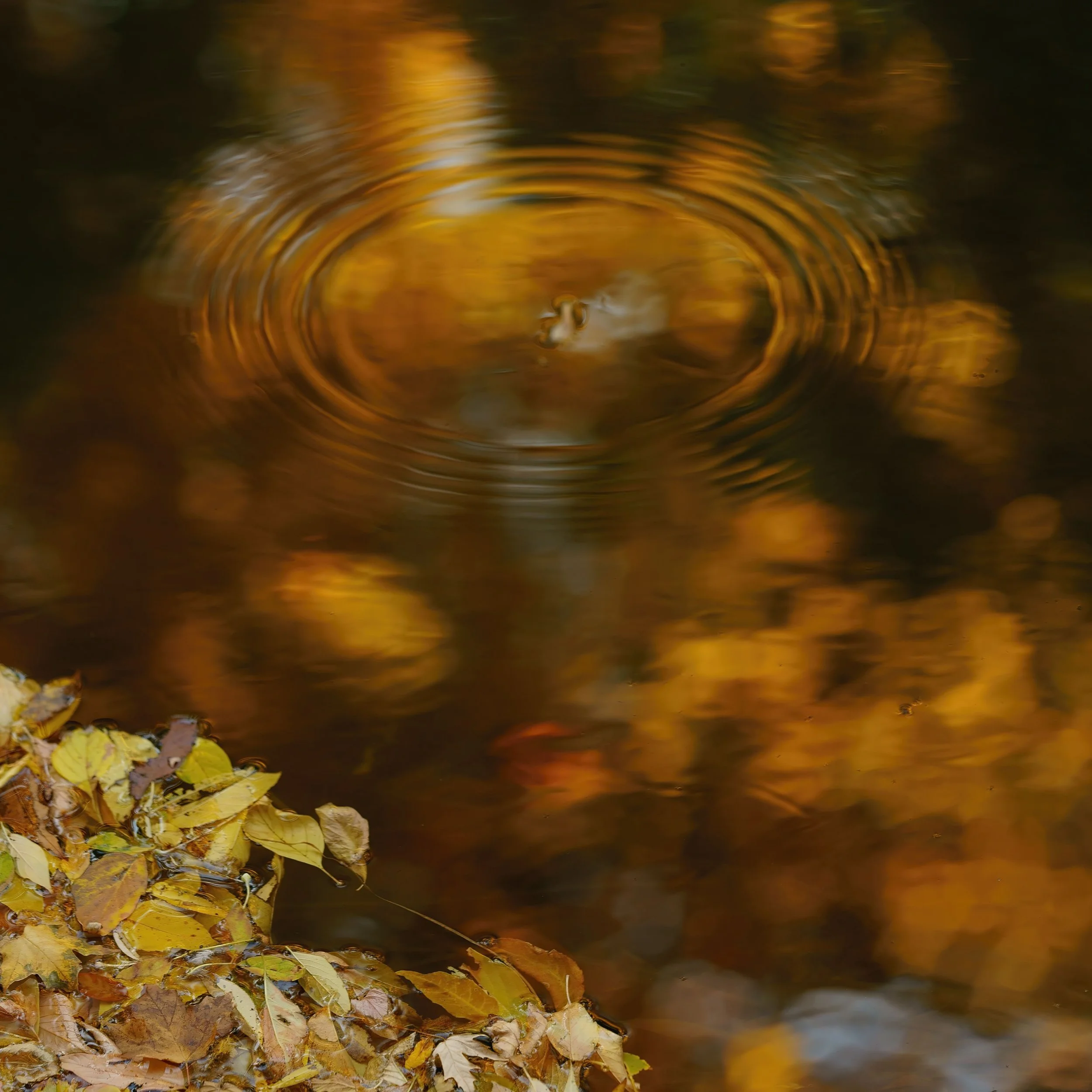 _ED_DSC5908-gigapixel.jpg