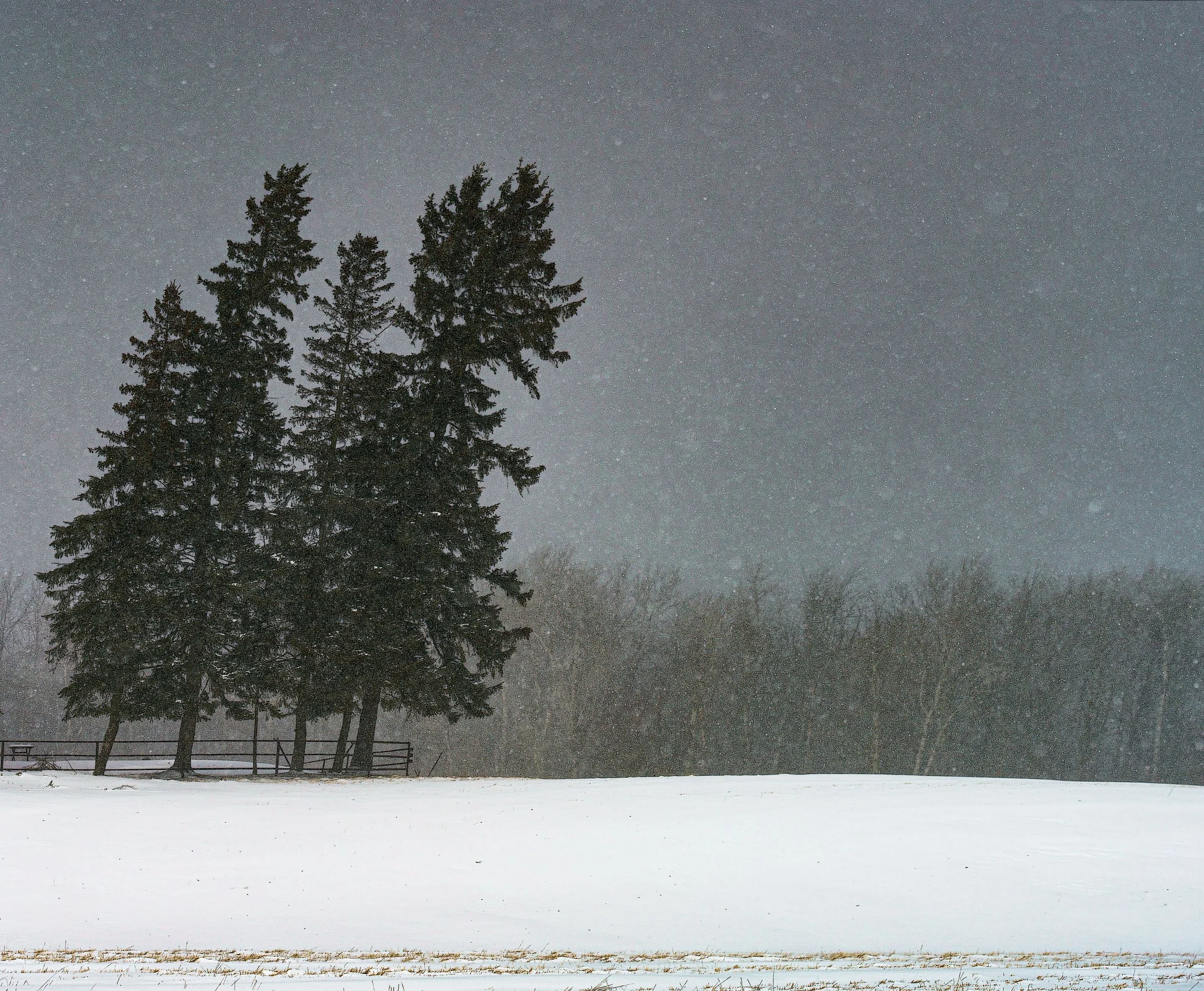 _ED_DSC4121-Edit-2-gigapixel.jpg